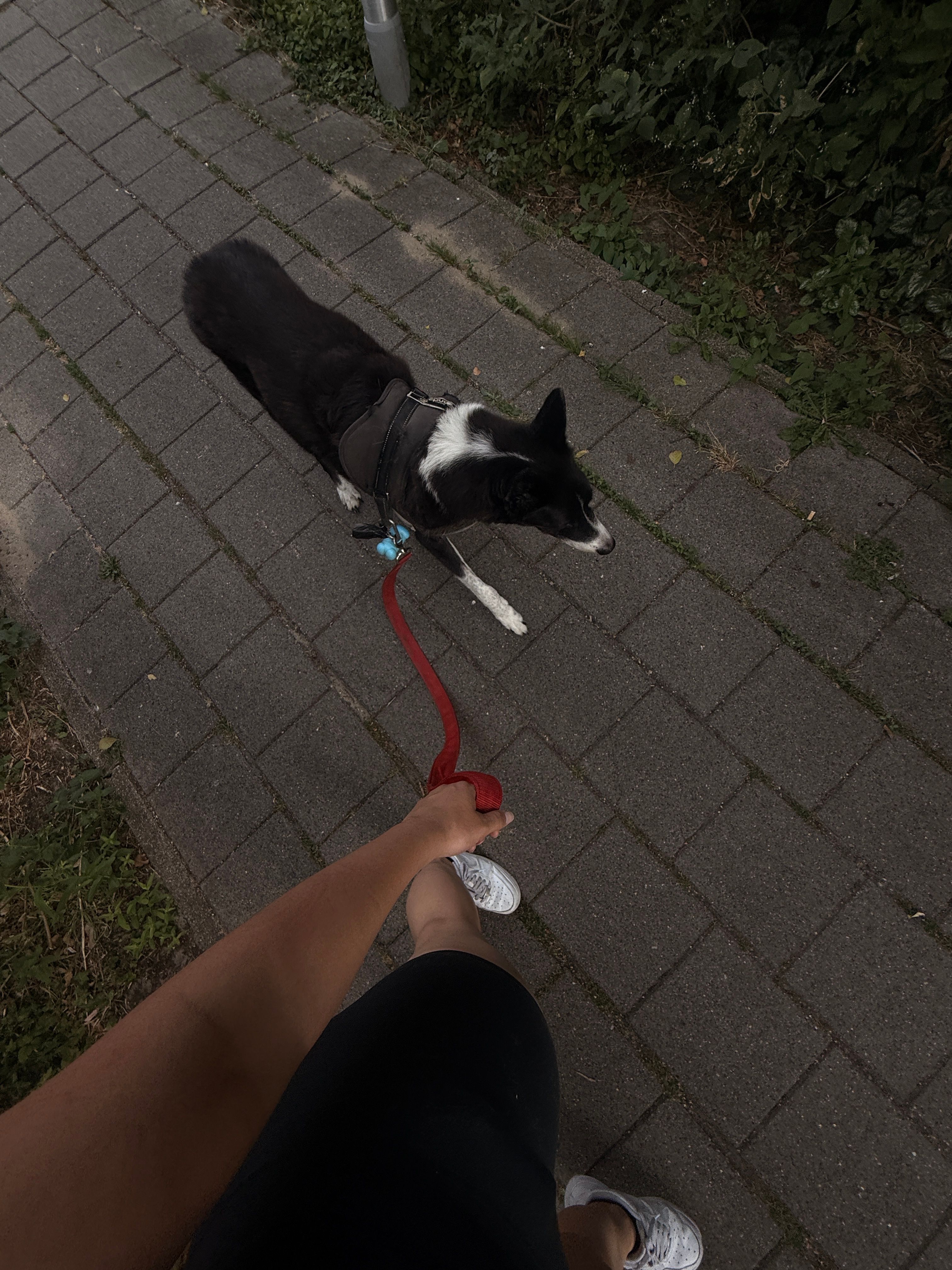 image-14