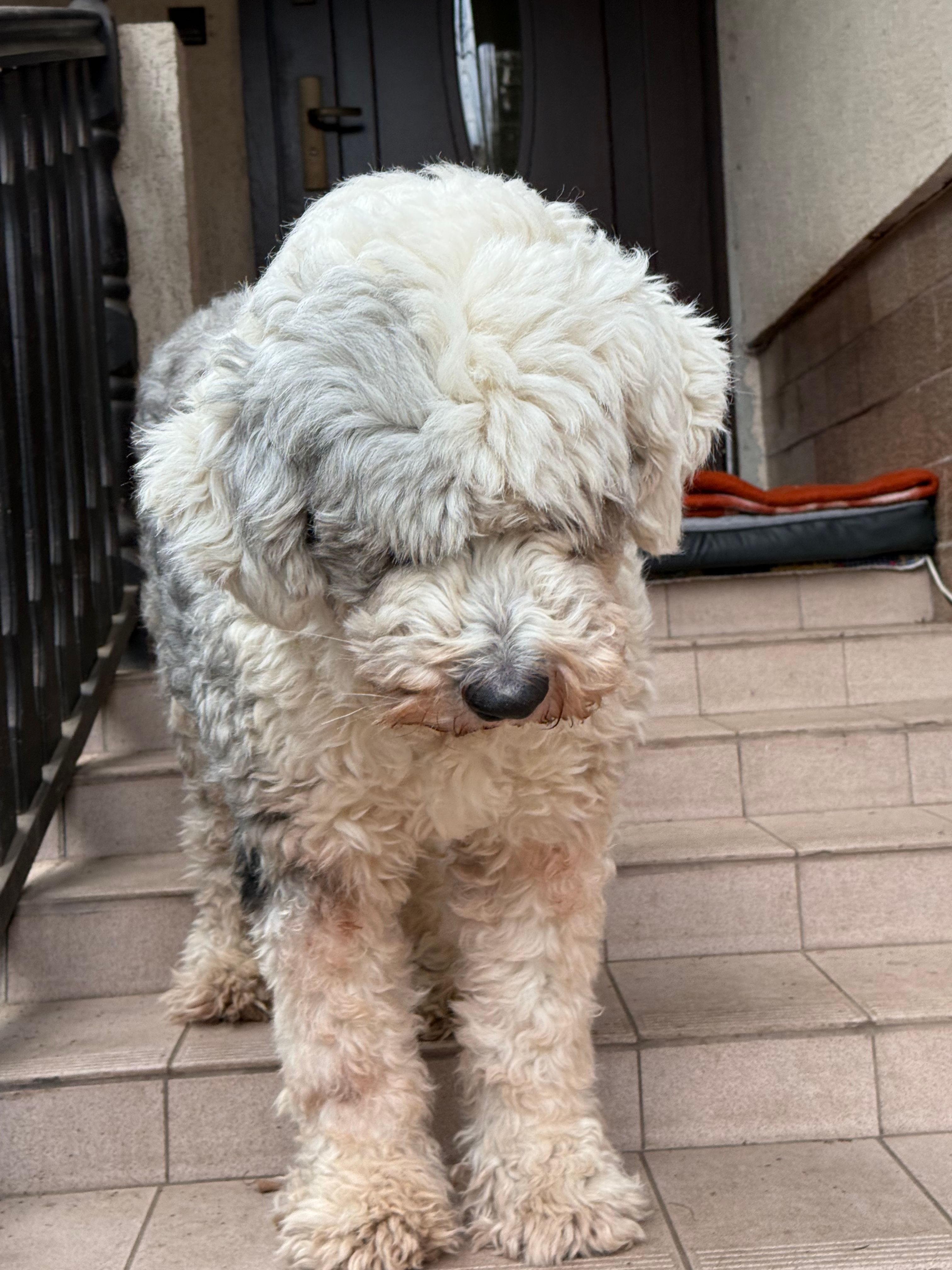 image-9