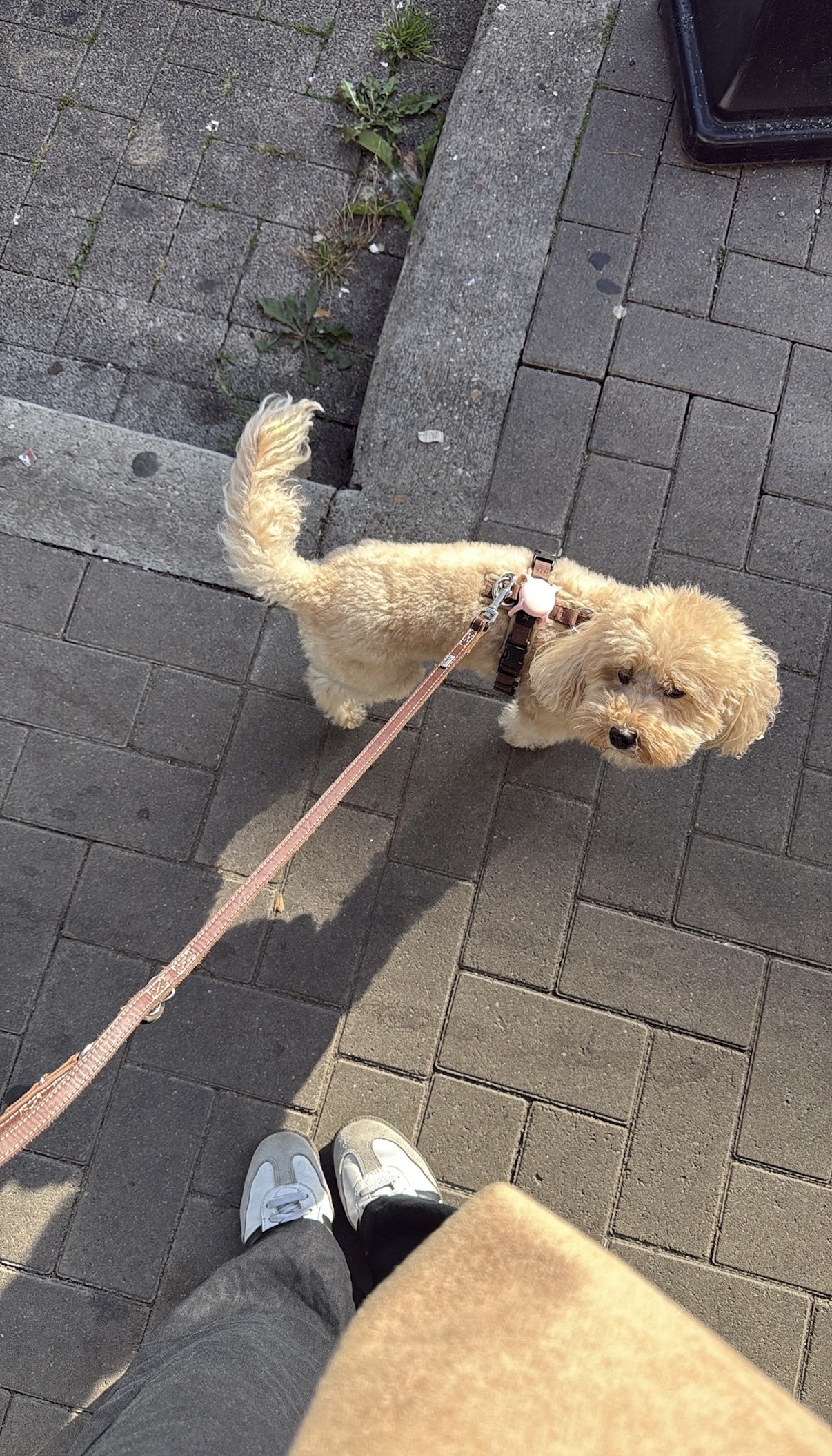 image-9