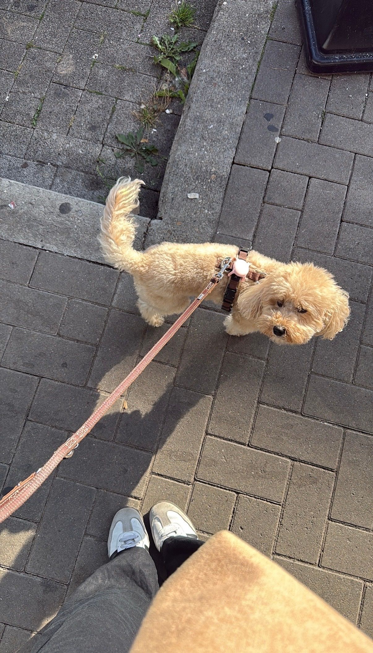 image-9