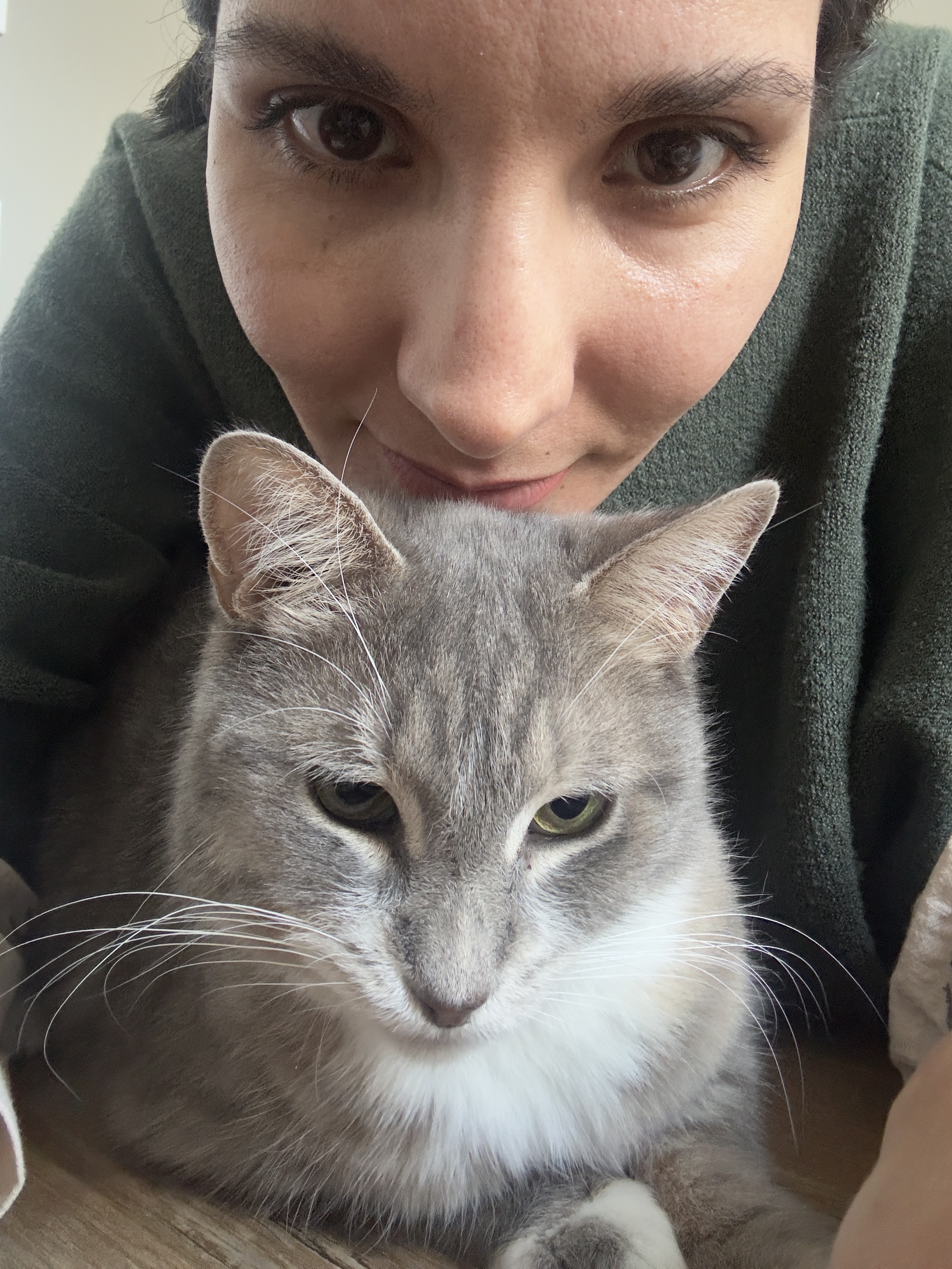 image-8