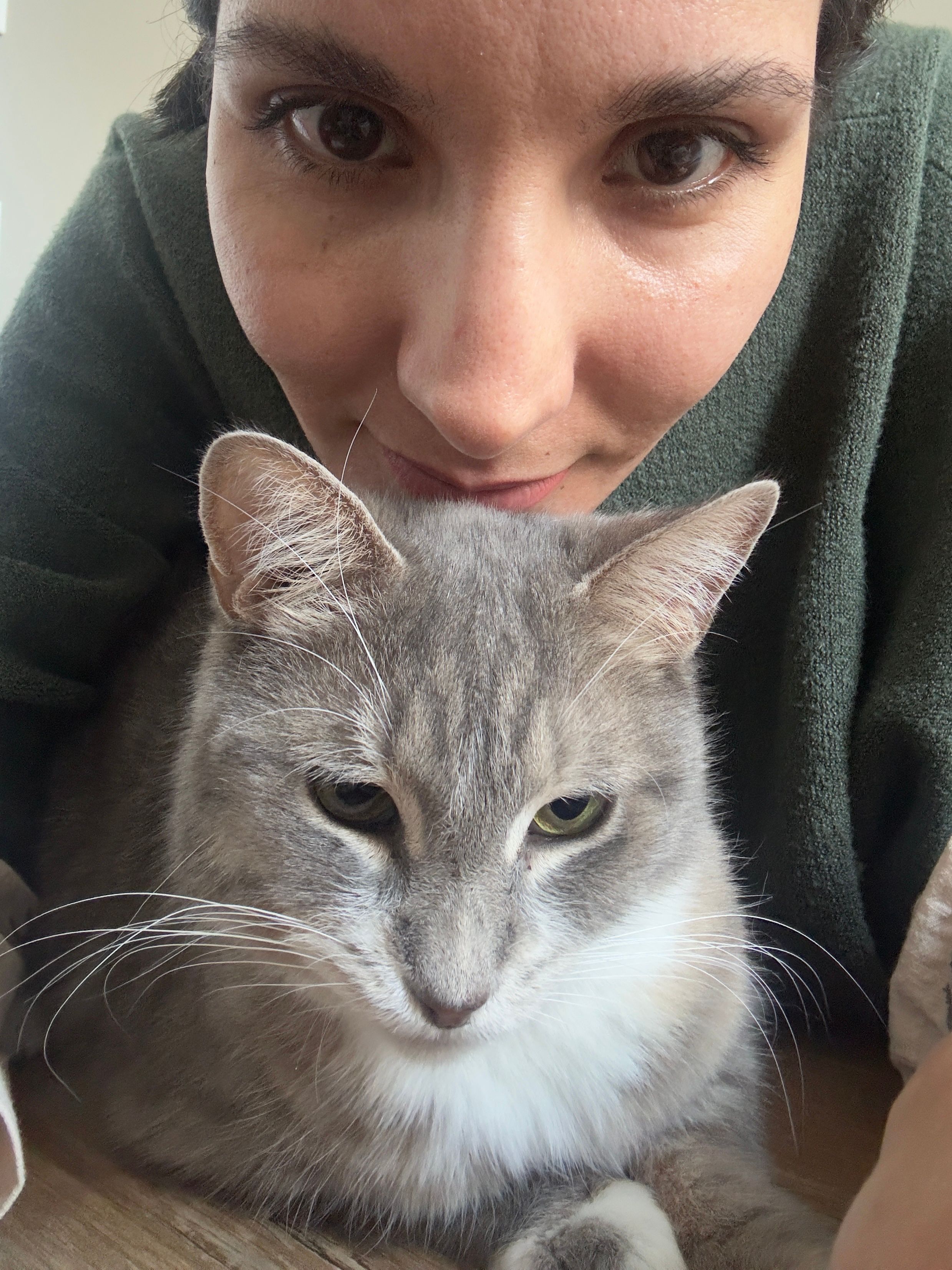 image-8