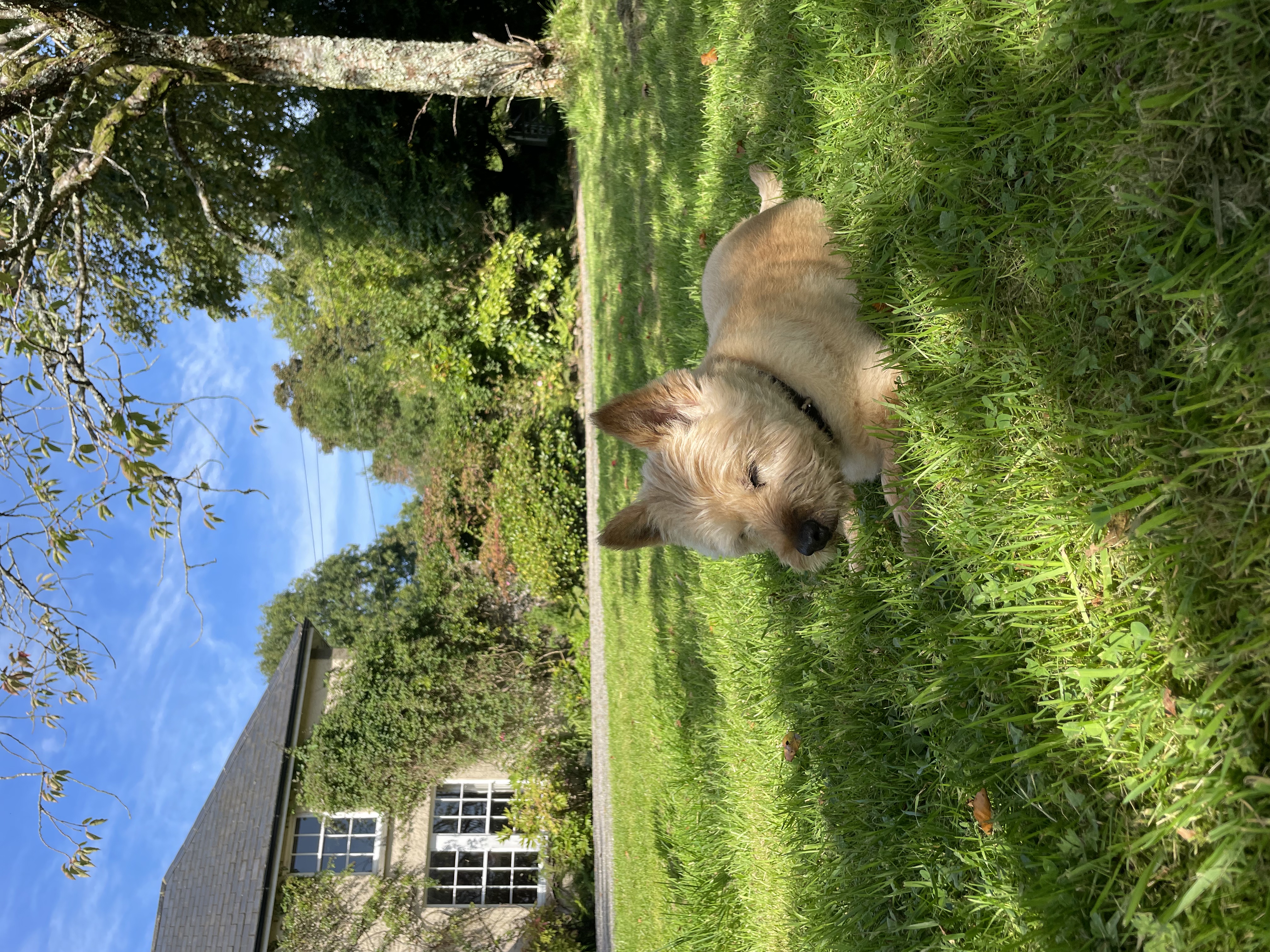 image-13