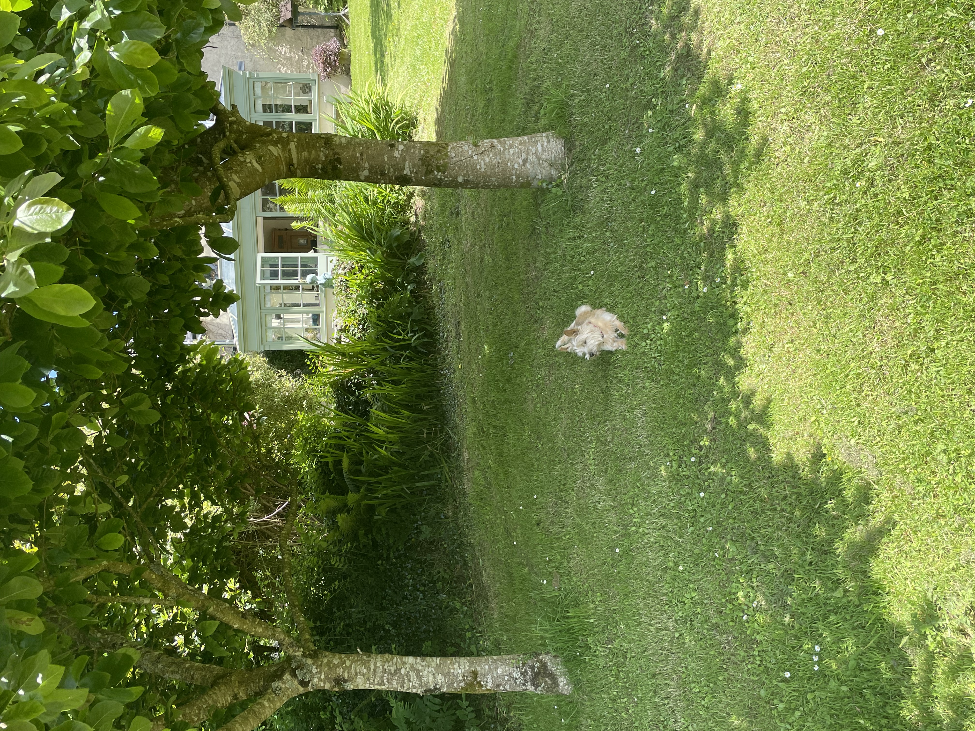 image-14
