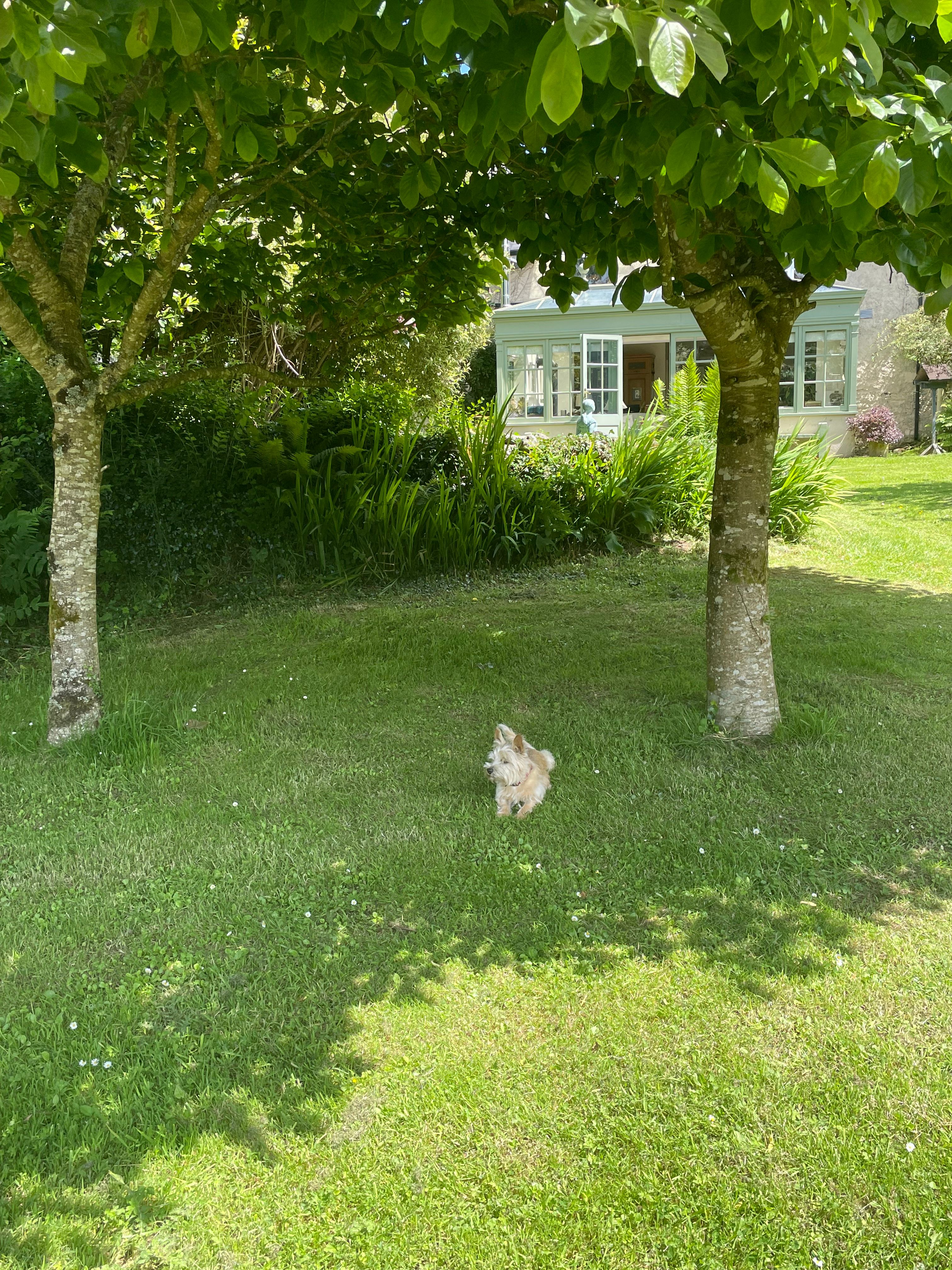 image-14