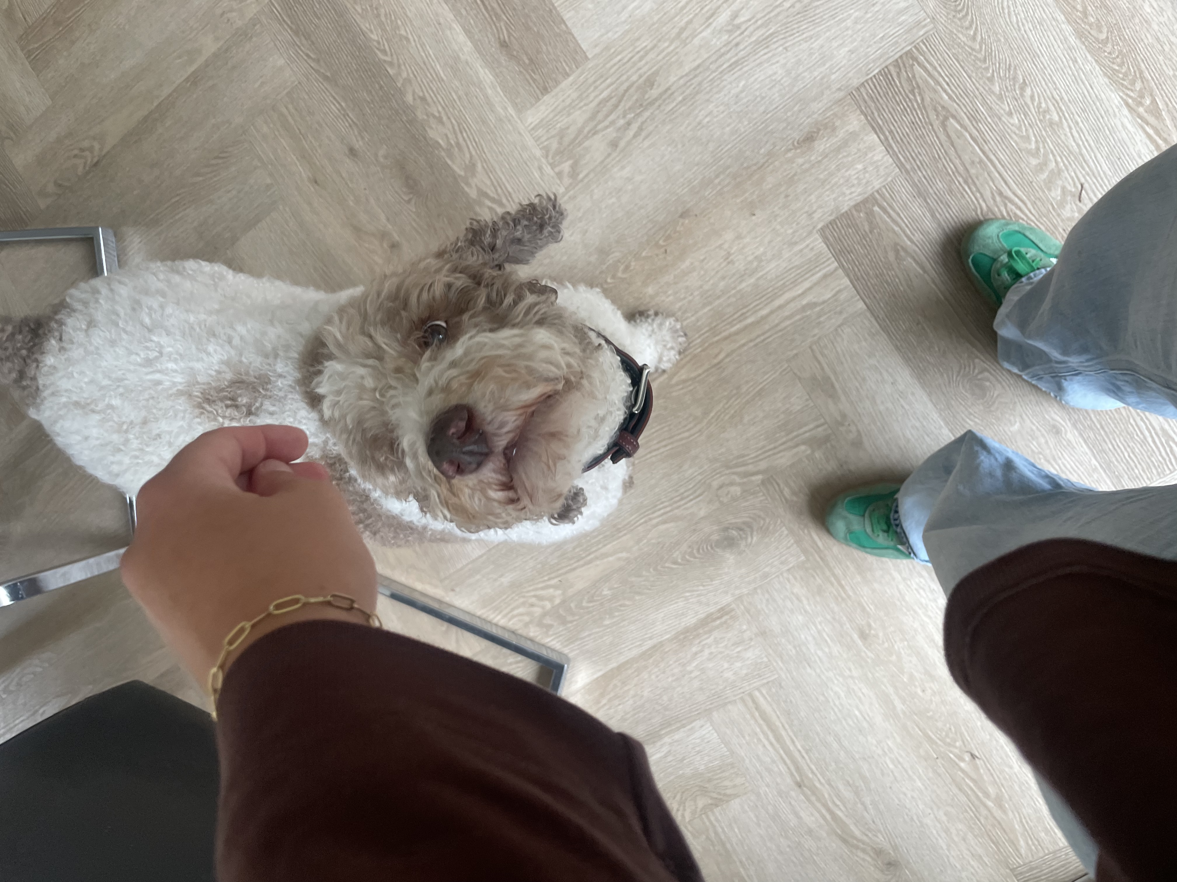 image-7