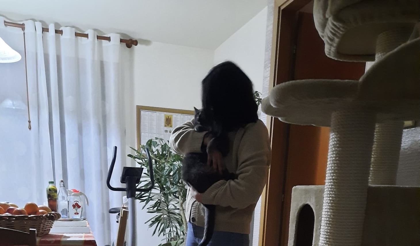 image-7