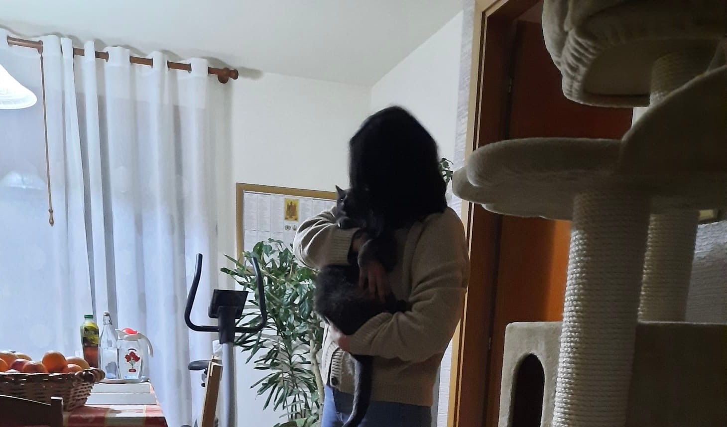 image-7
