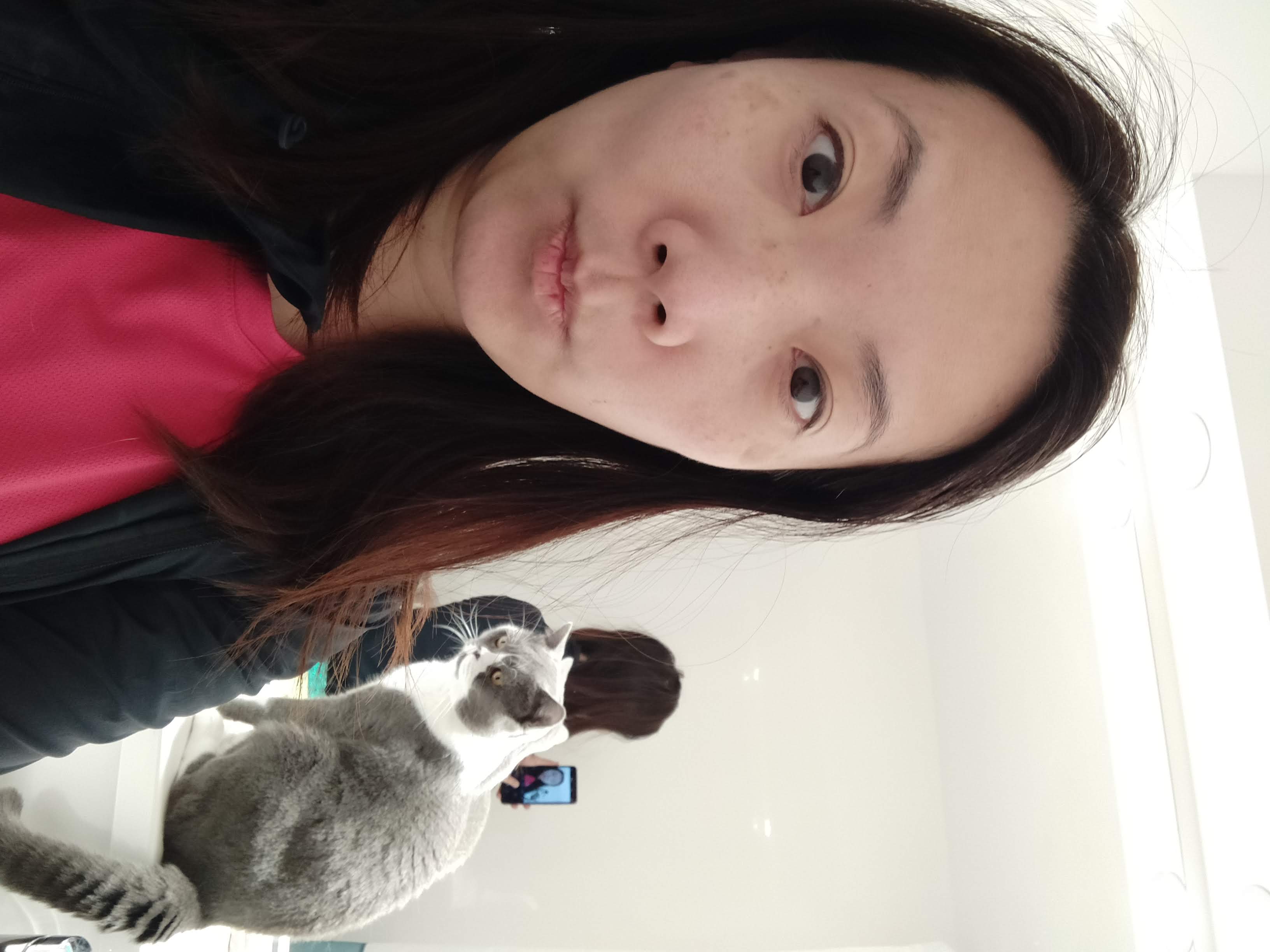 image-18