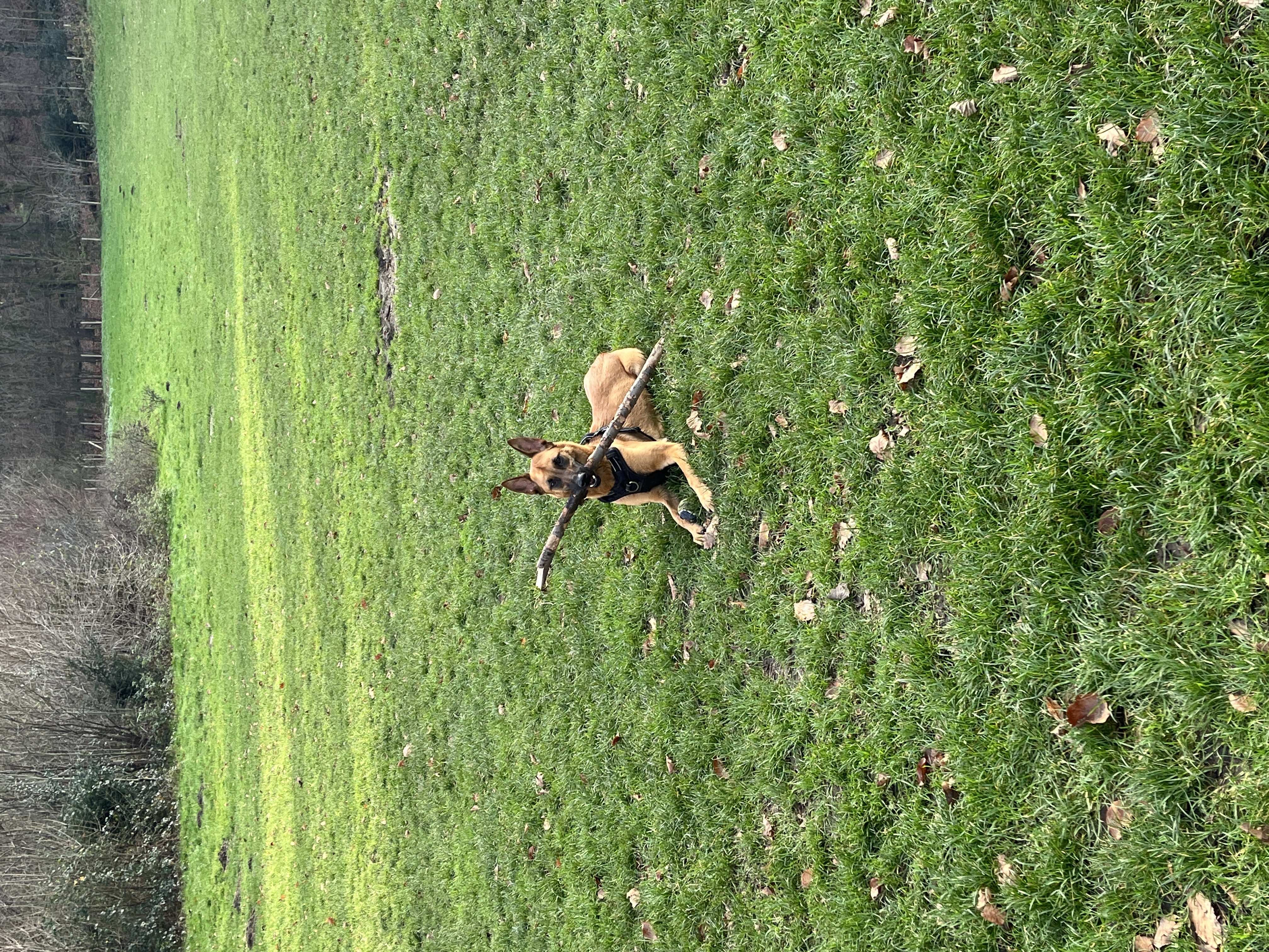 image-14