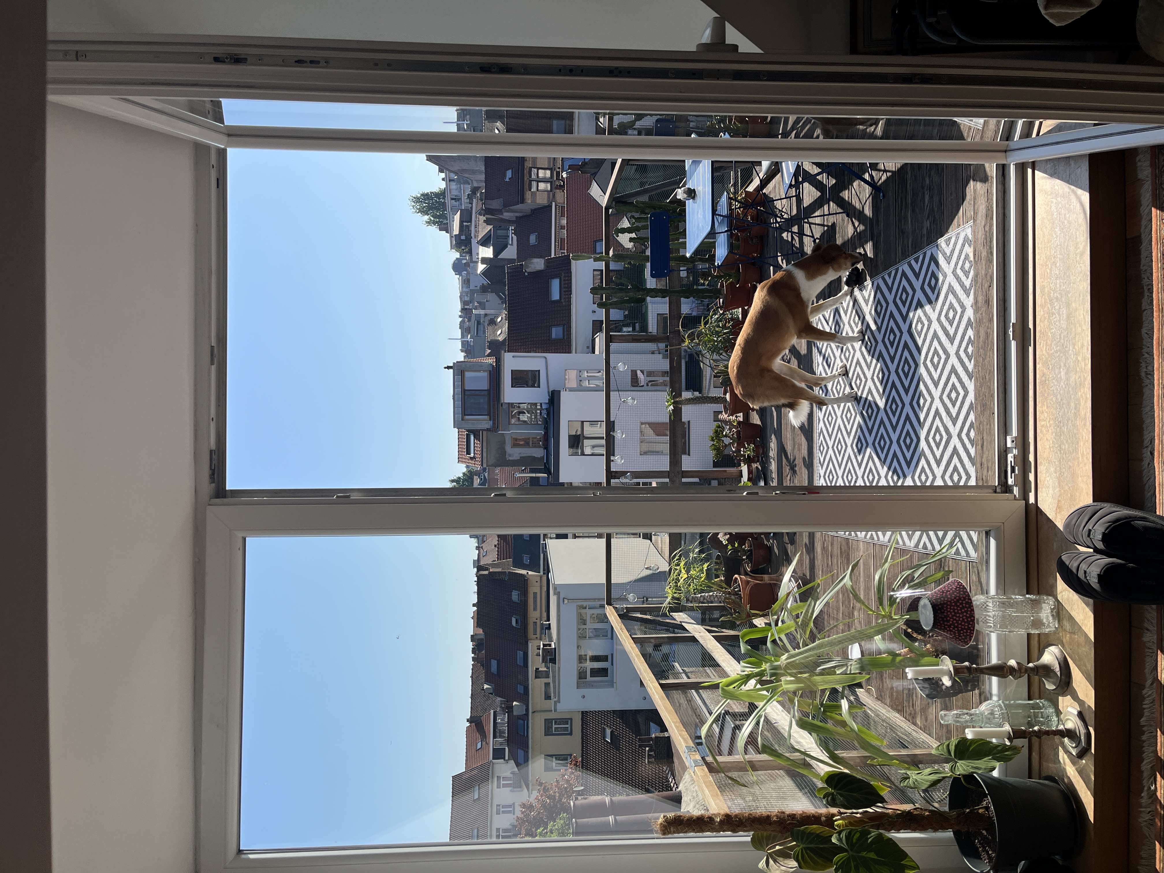 image-17