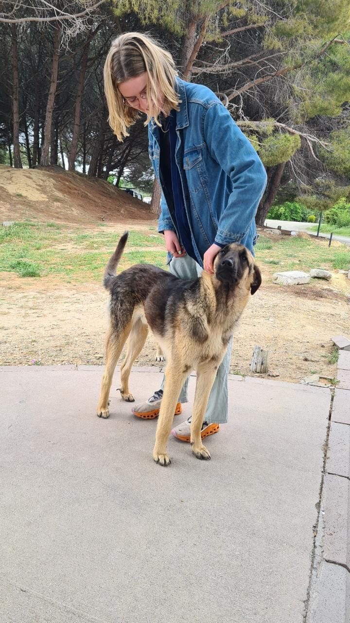 image-3