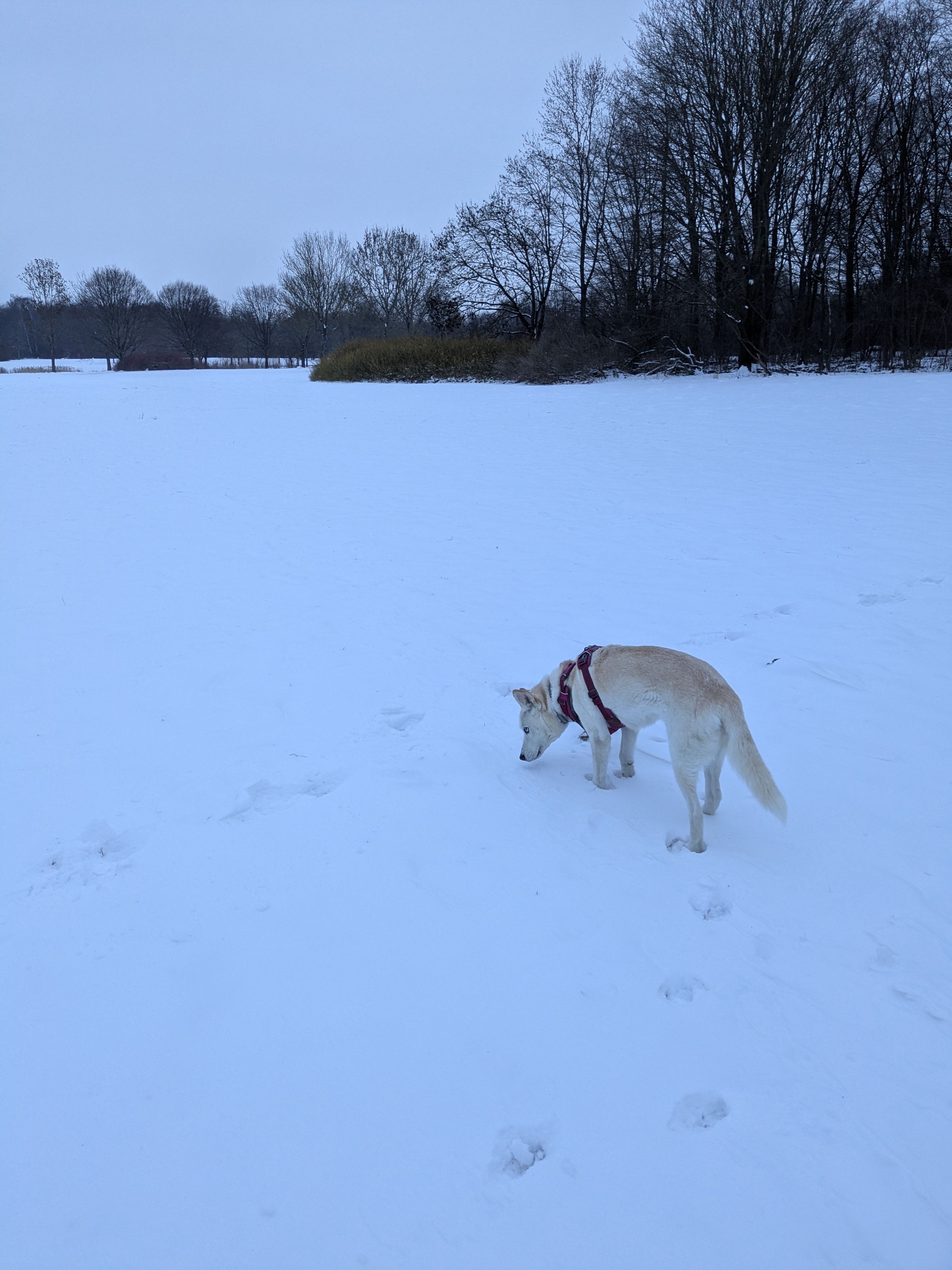 image-5