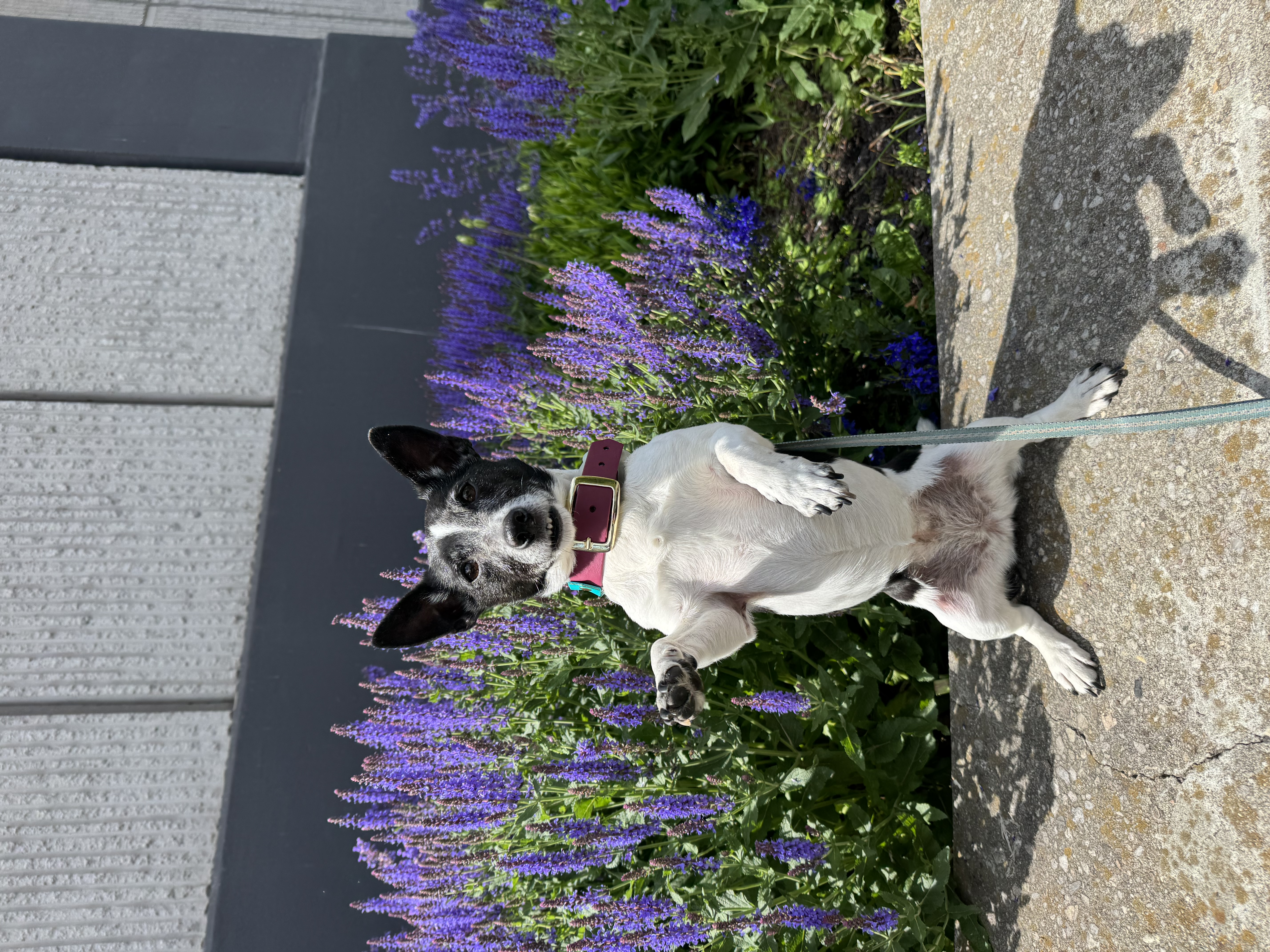 image-15