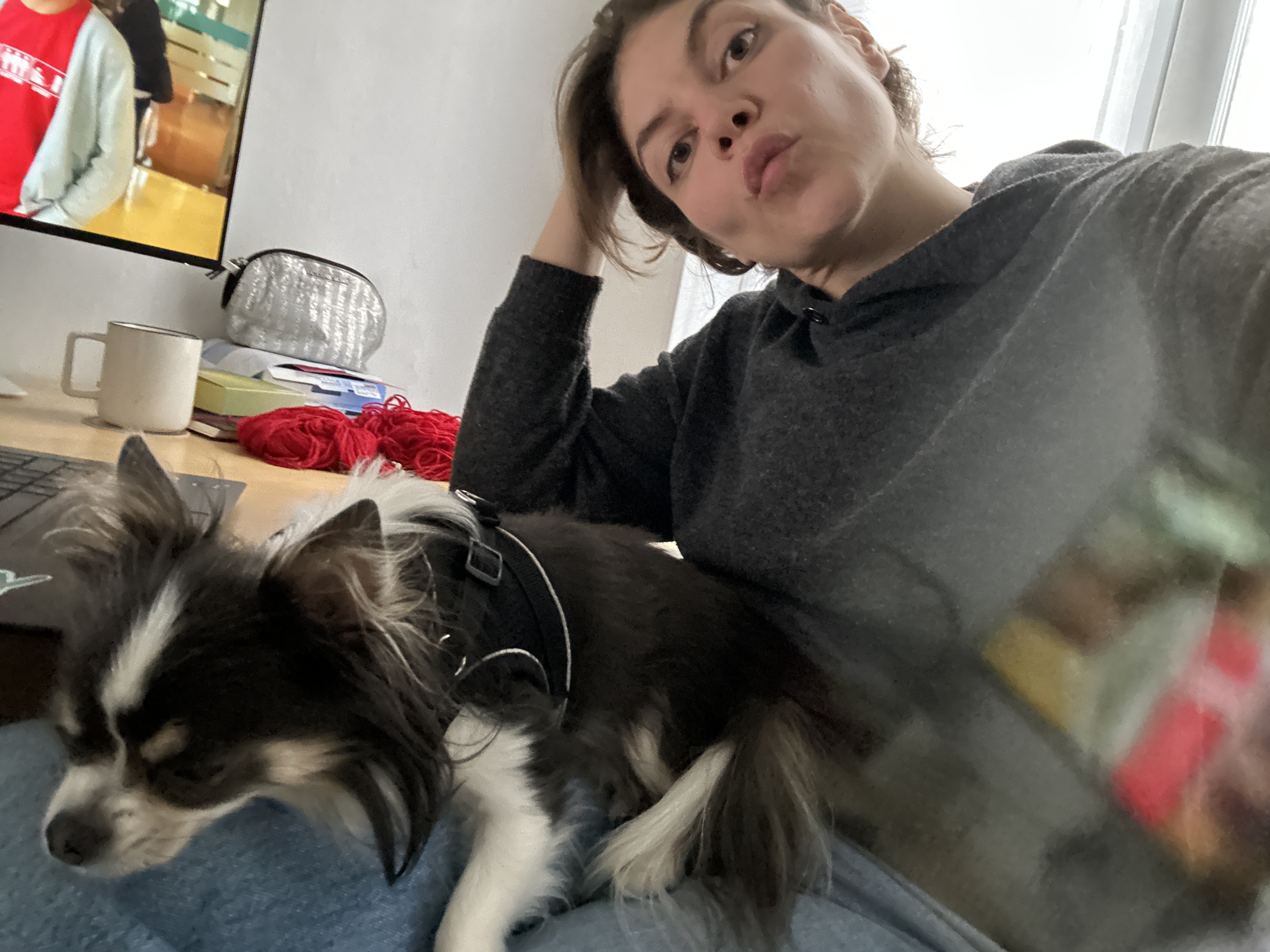 image-5