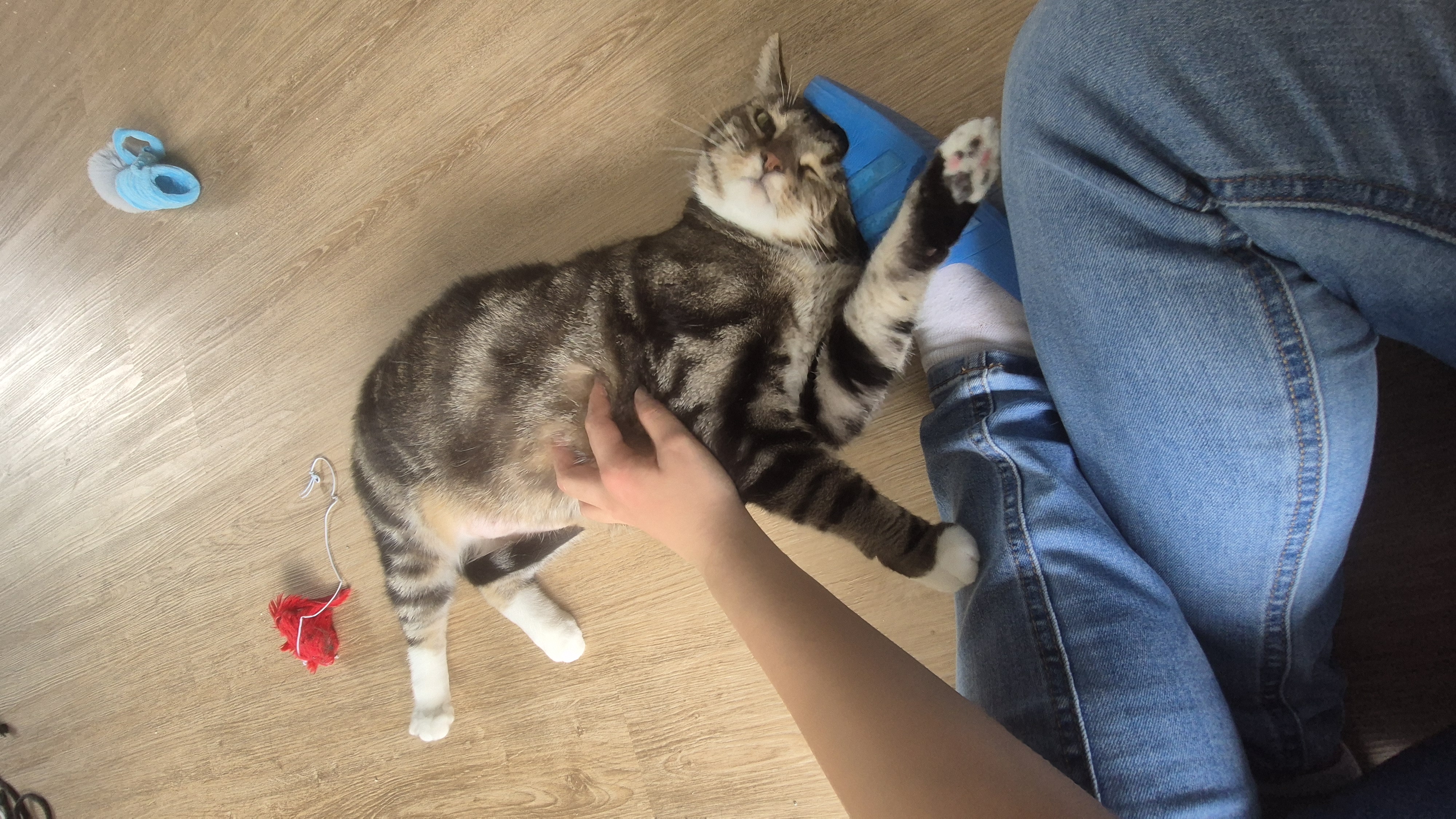 image-6