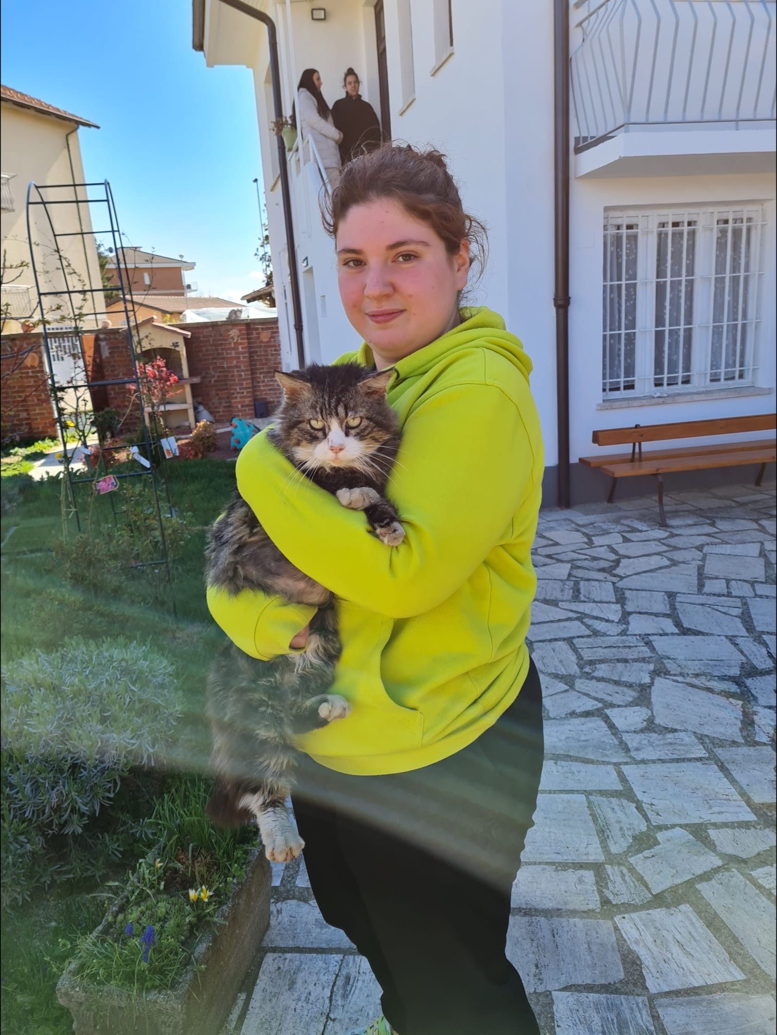 image-6