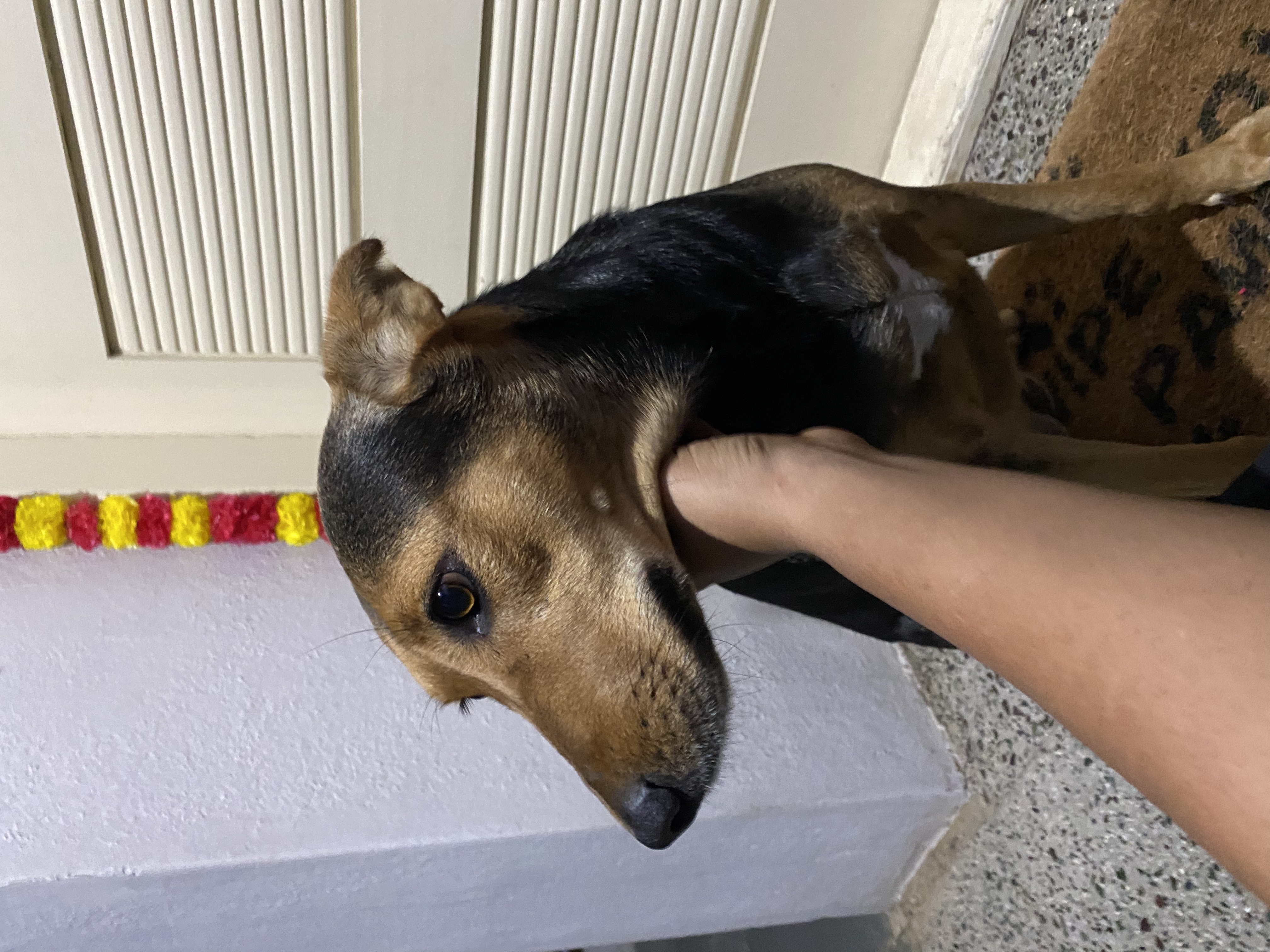 image-6