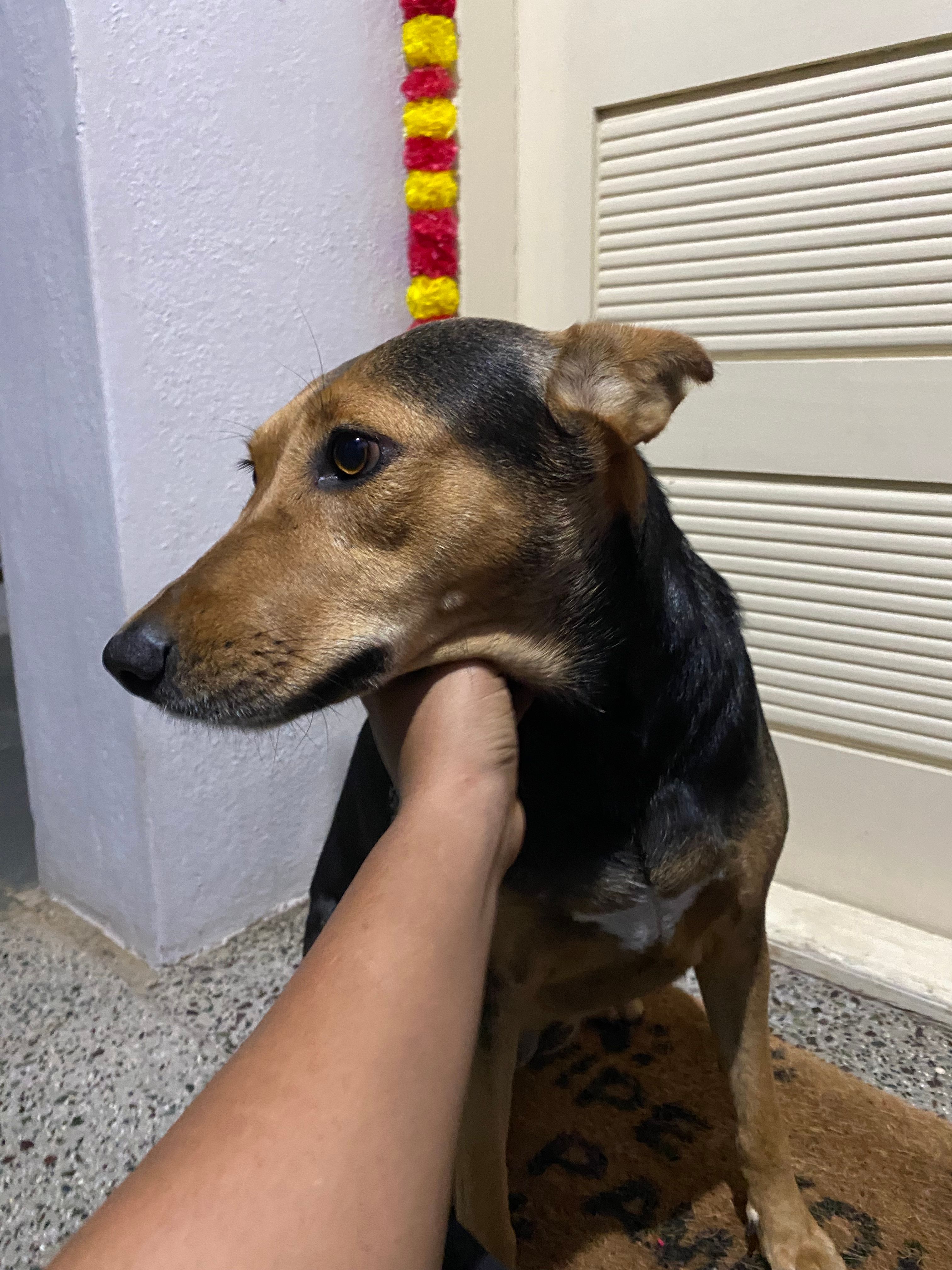 image-6
