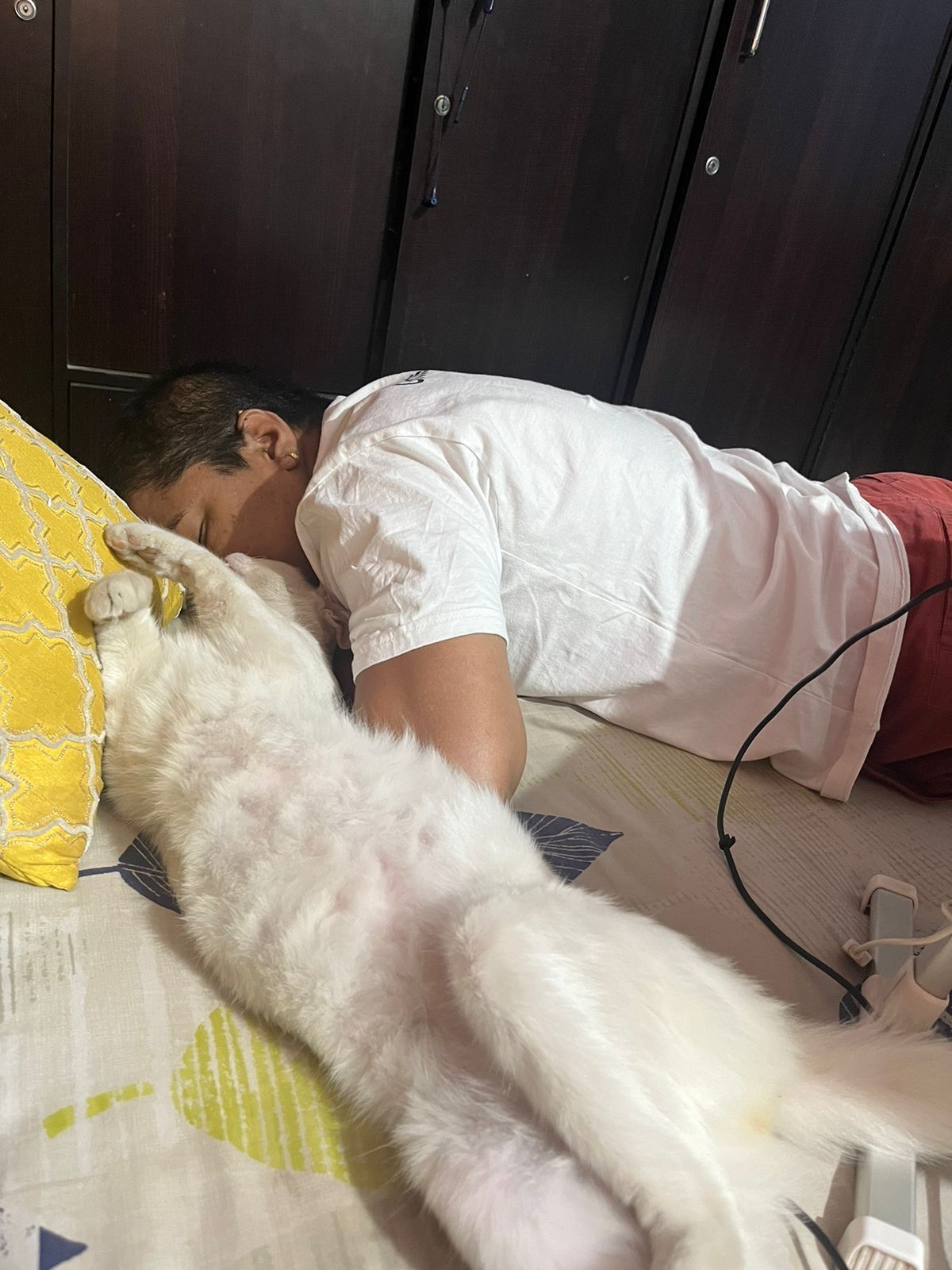 image-5
