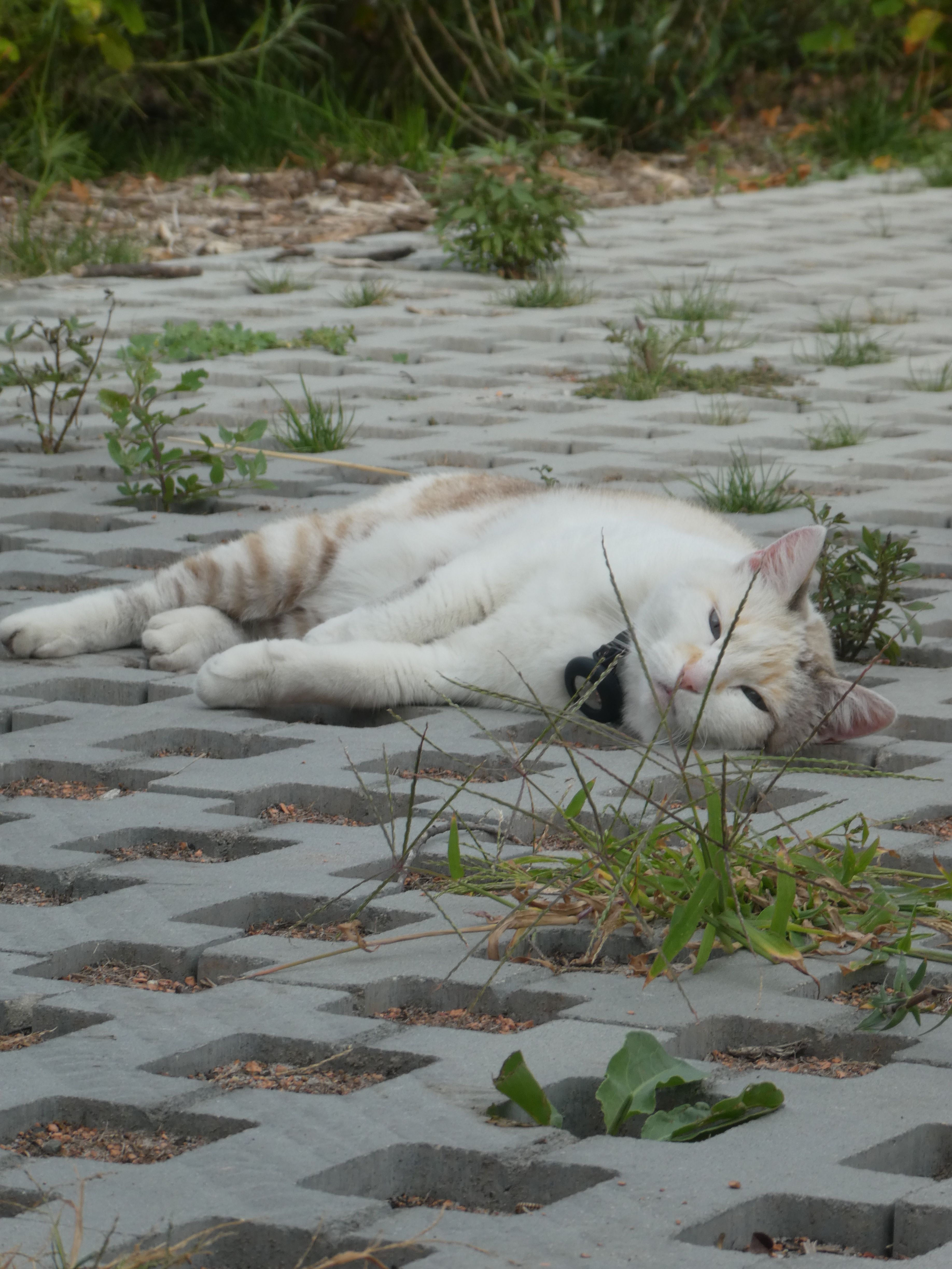 image-9