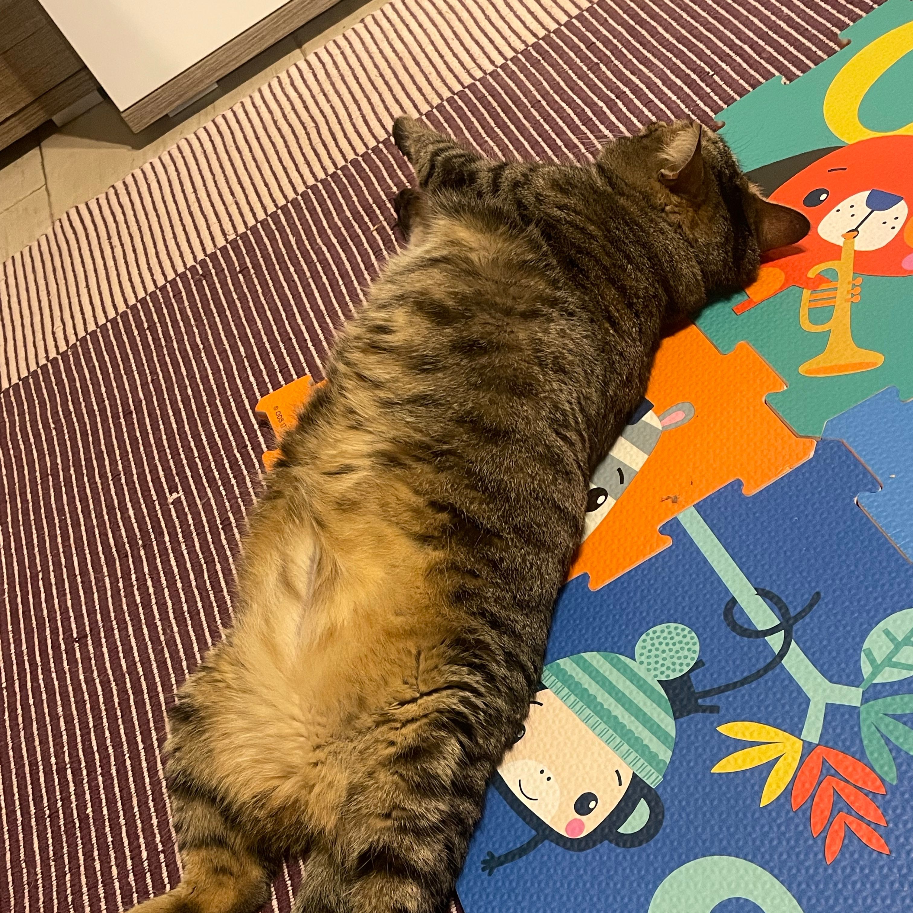 Mirtilla
