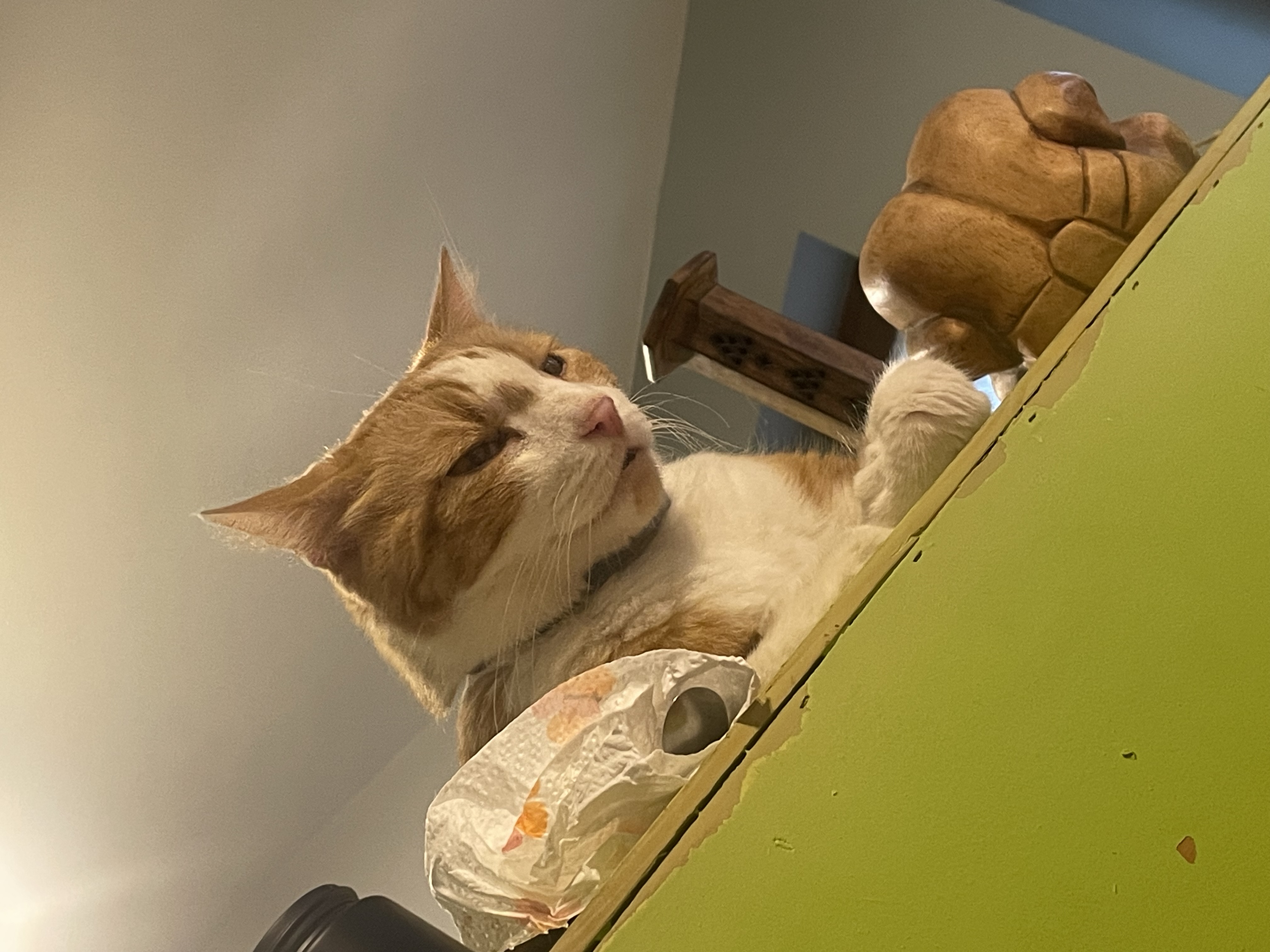 image-13