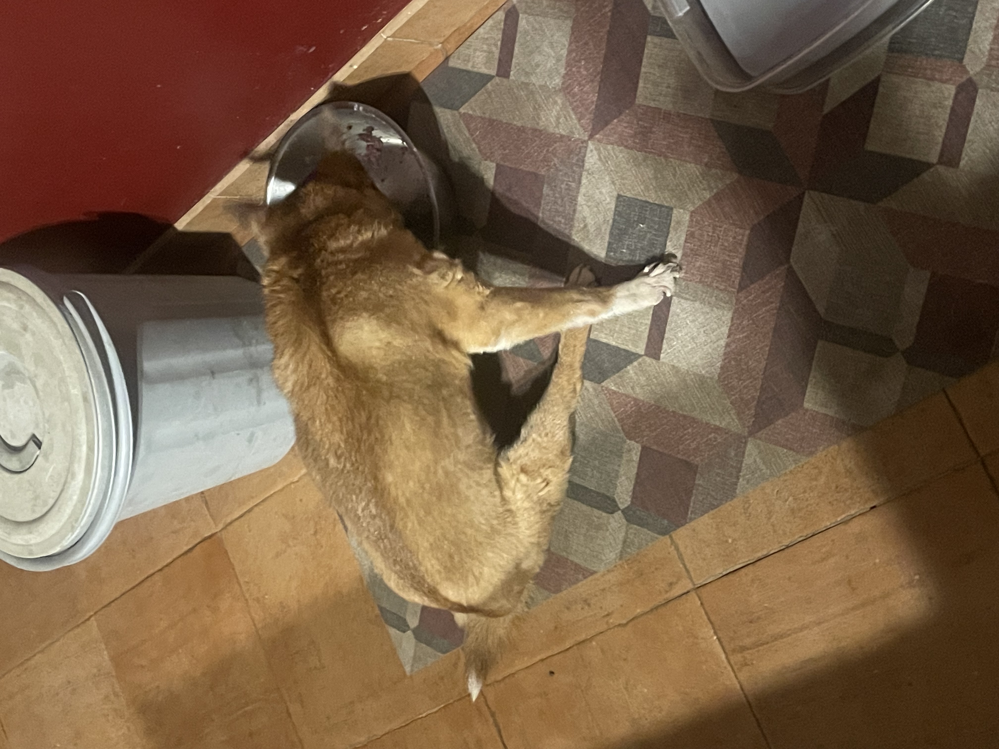 image-14