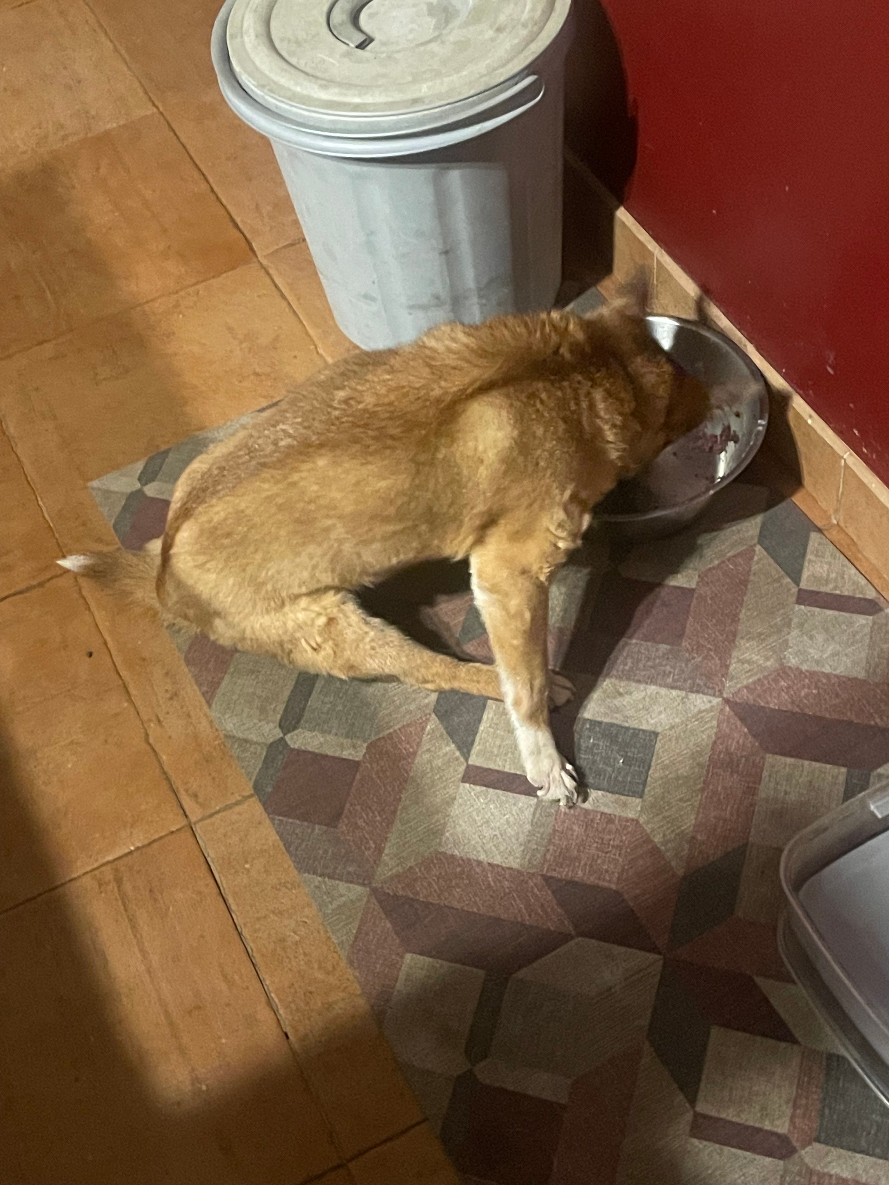 image-14