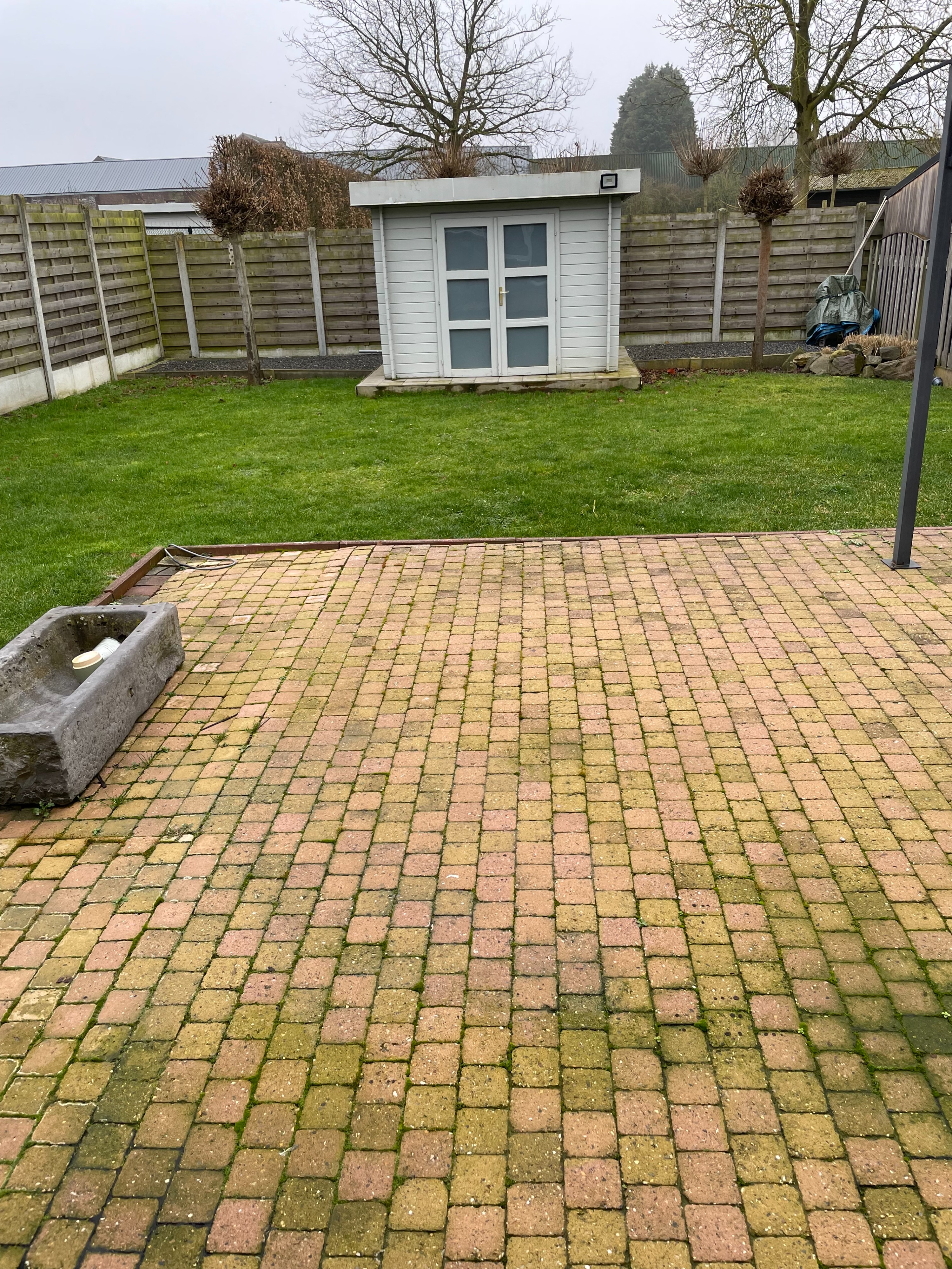 image-5