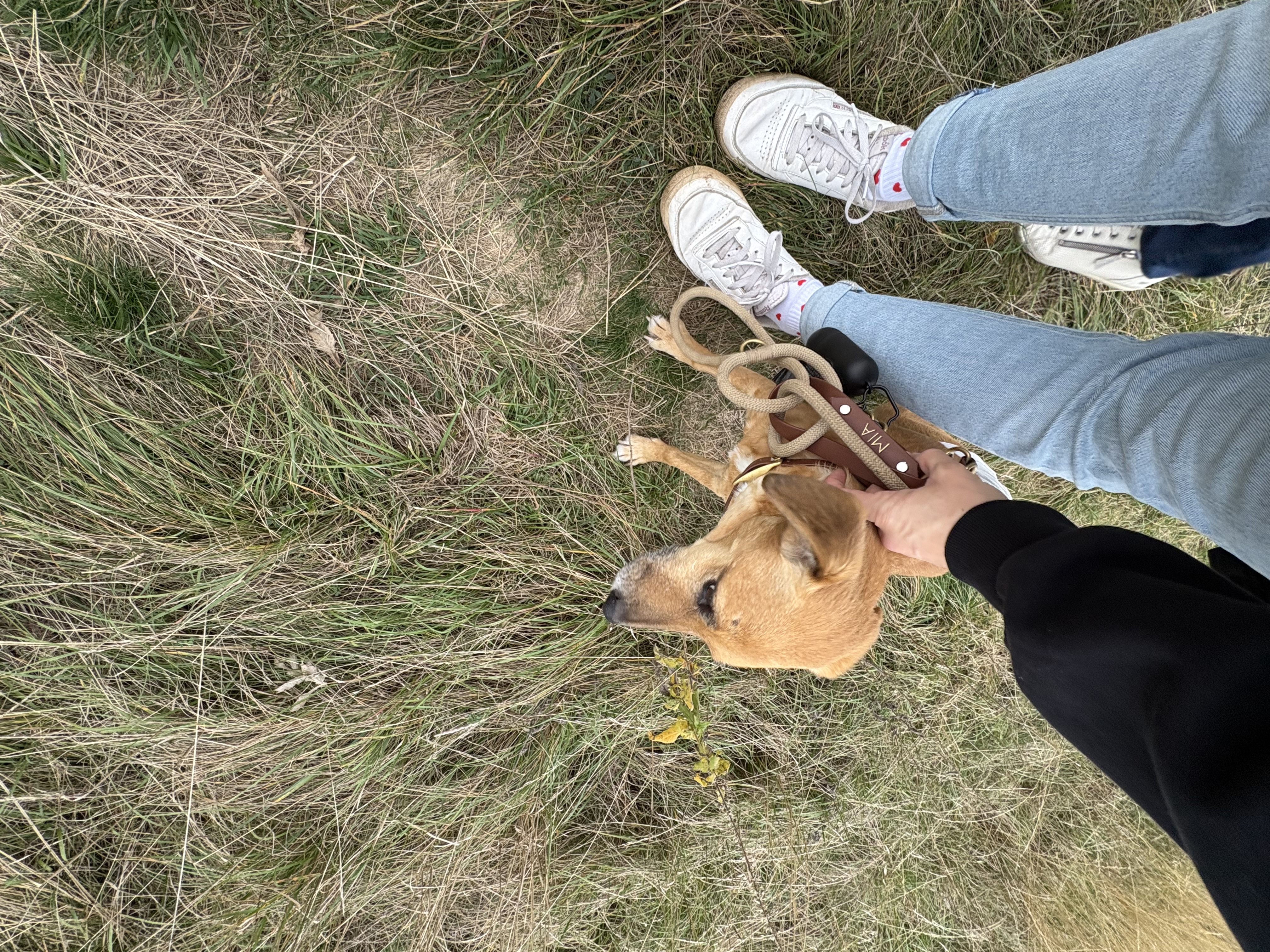 image-6