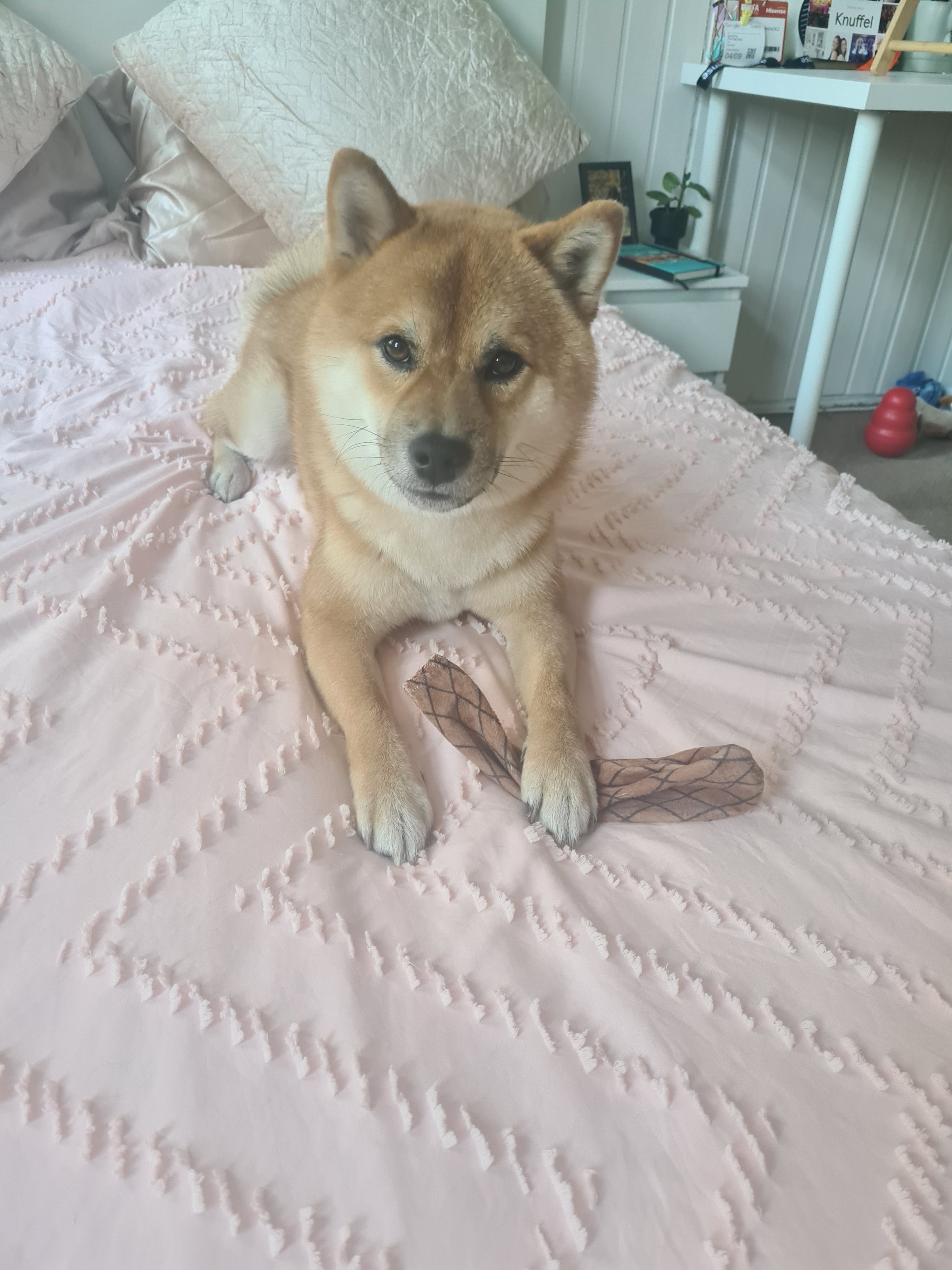 image-6