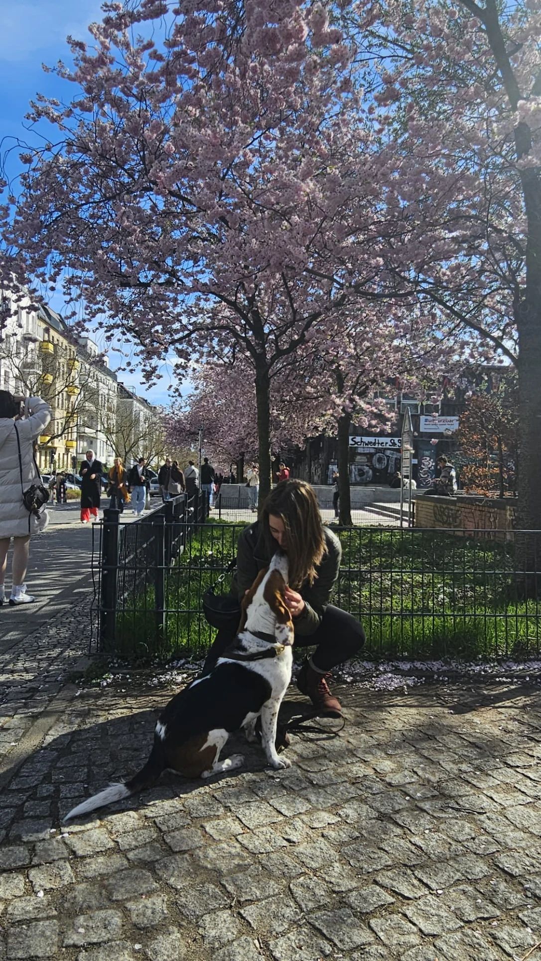 image-34