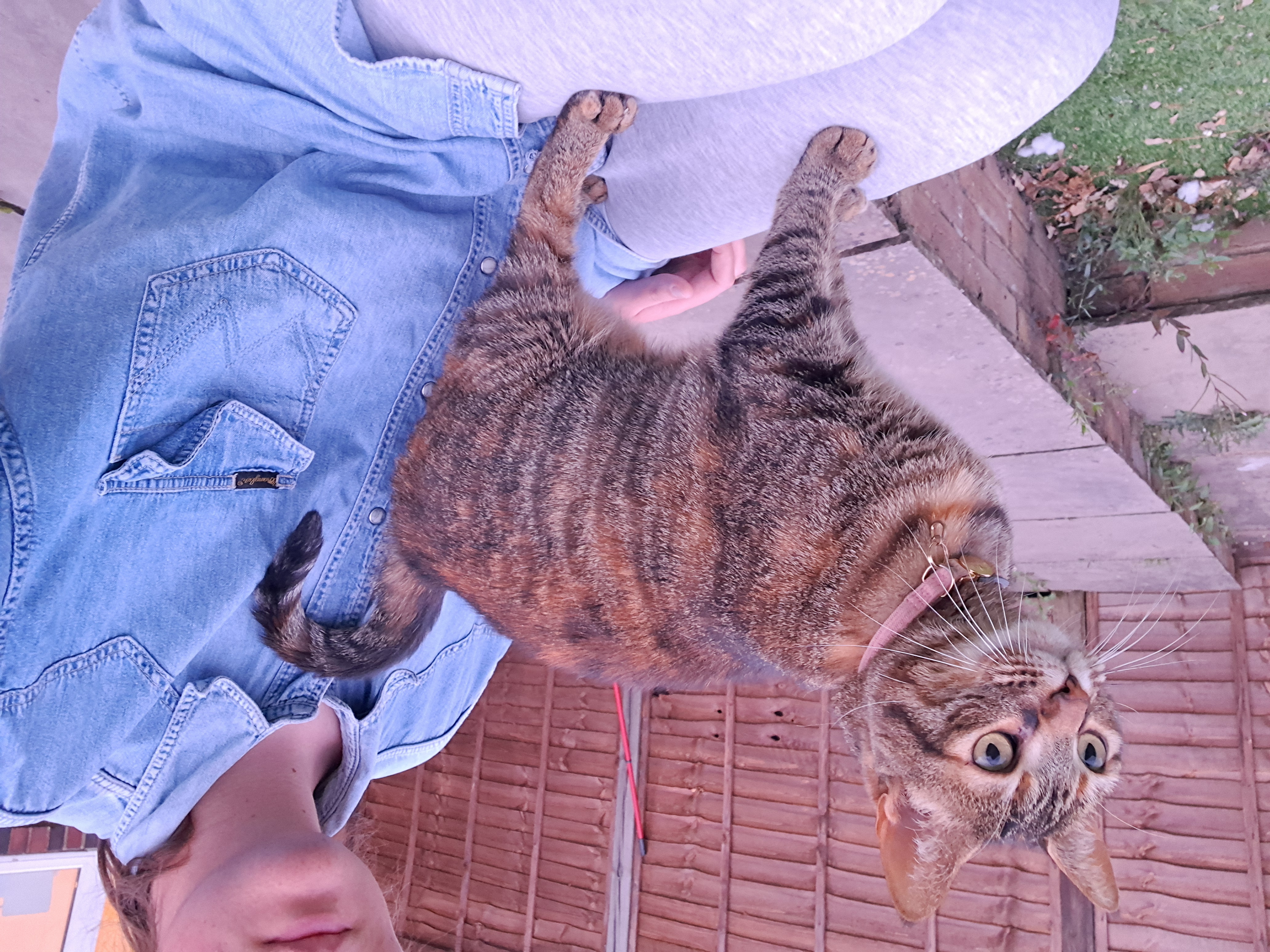 image-5