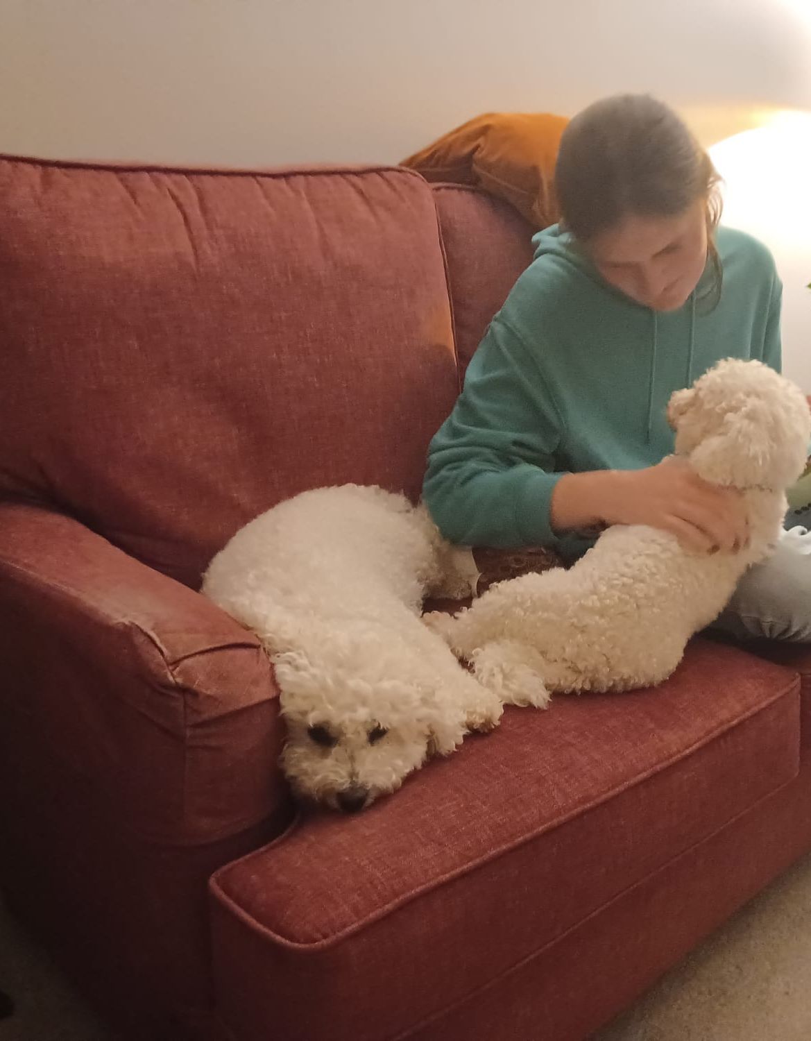 image-2