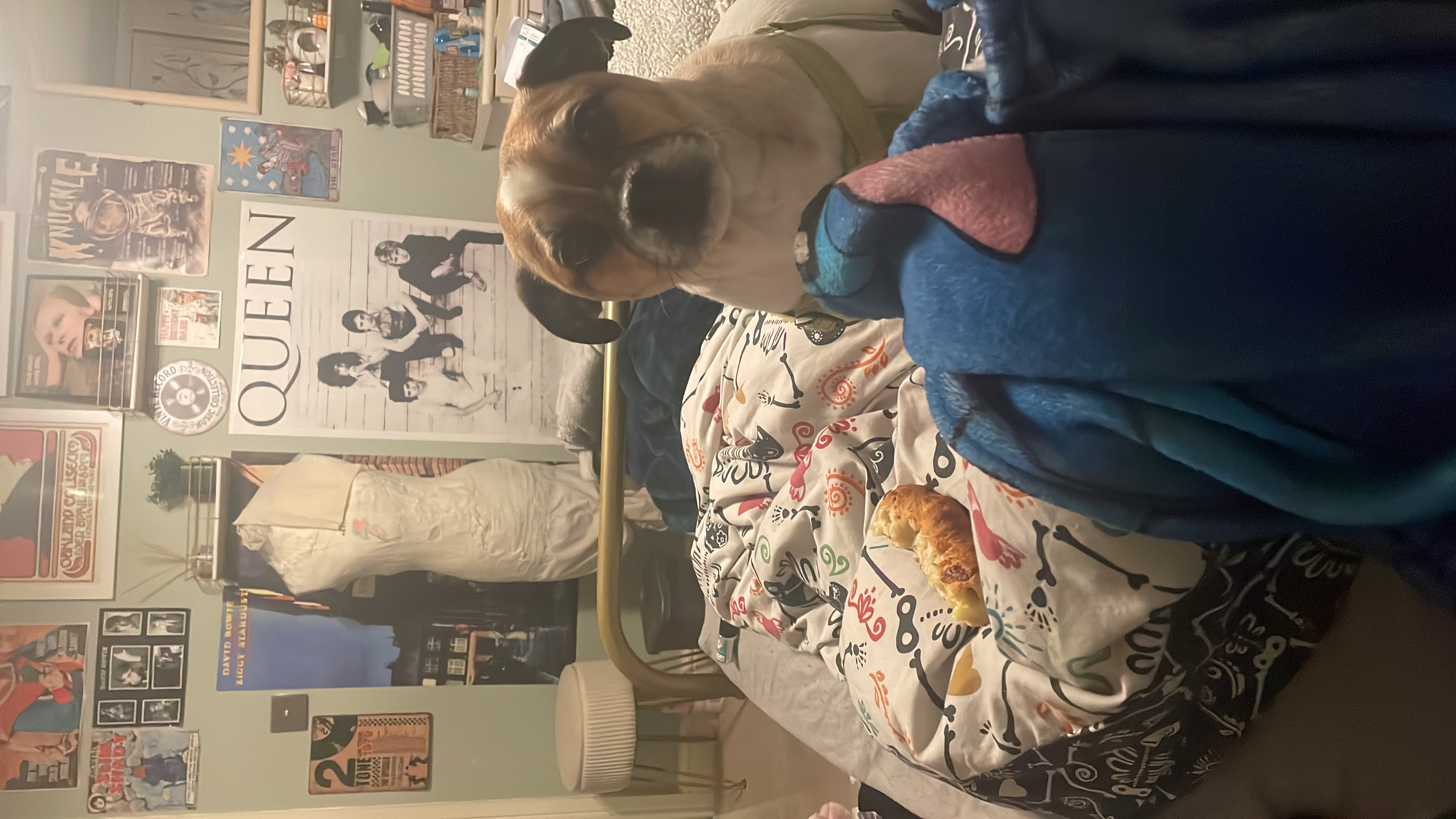 image-13