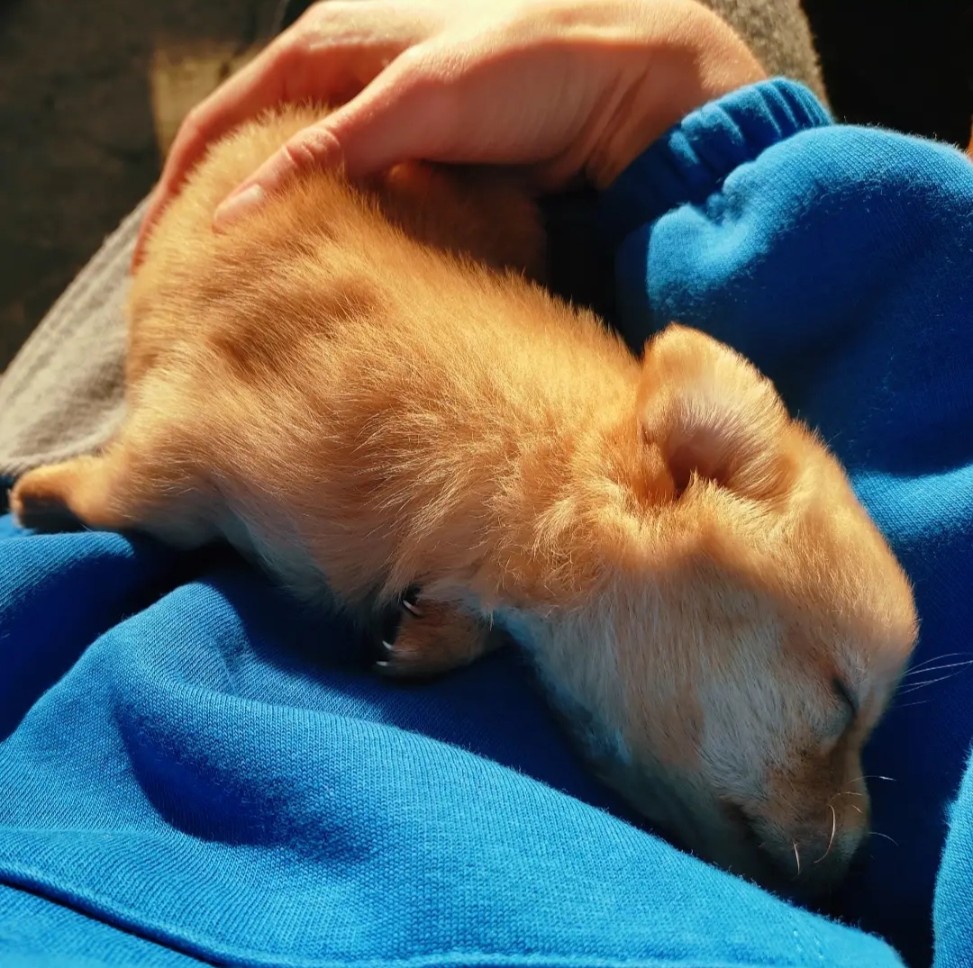 image-9