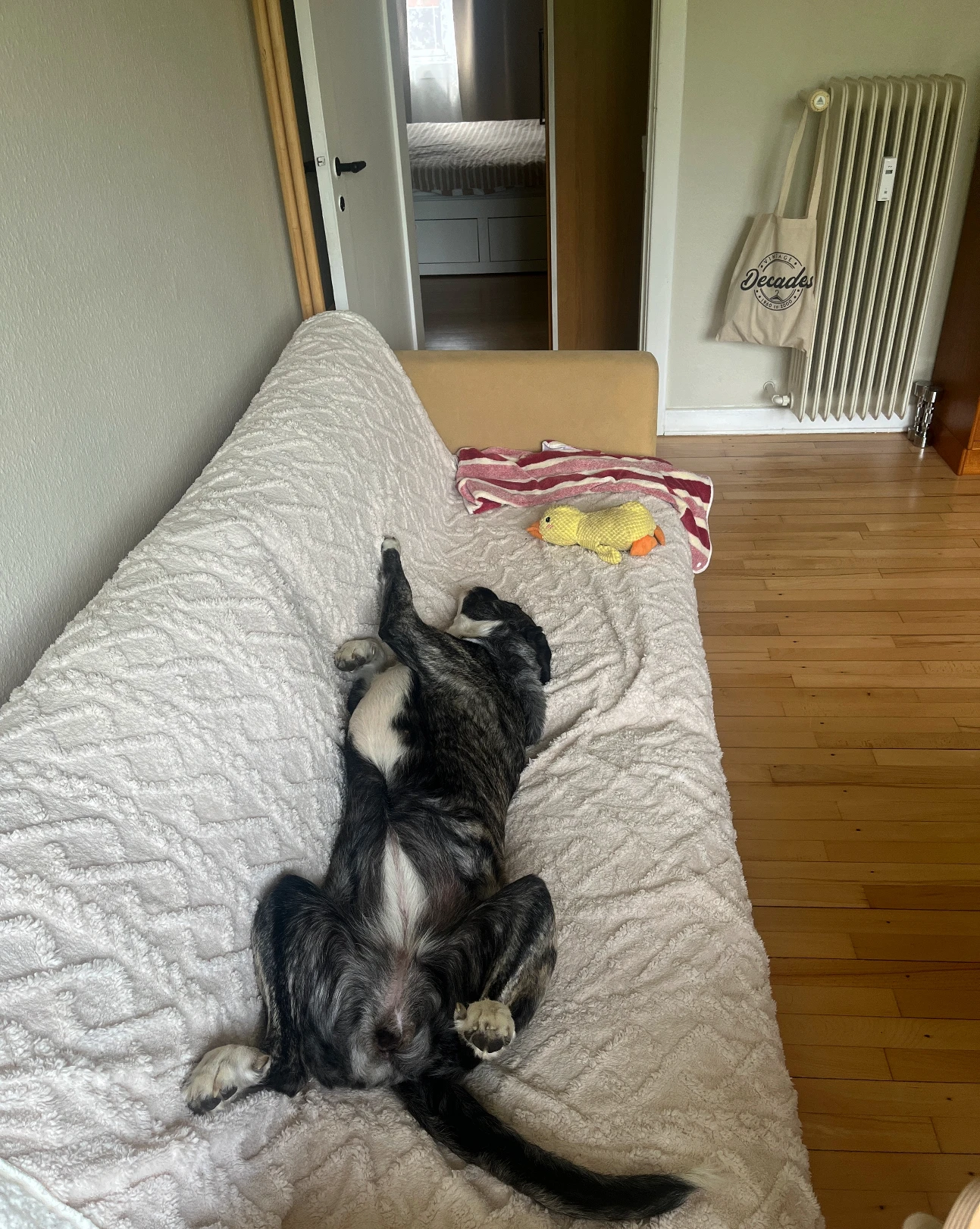 image-15