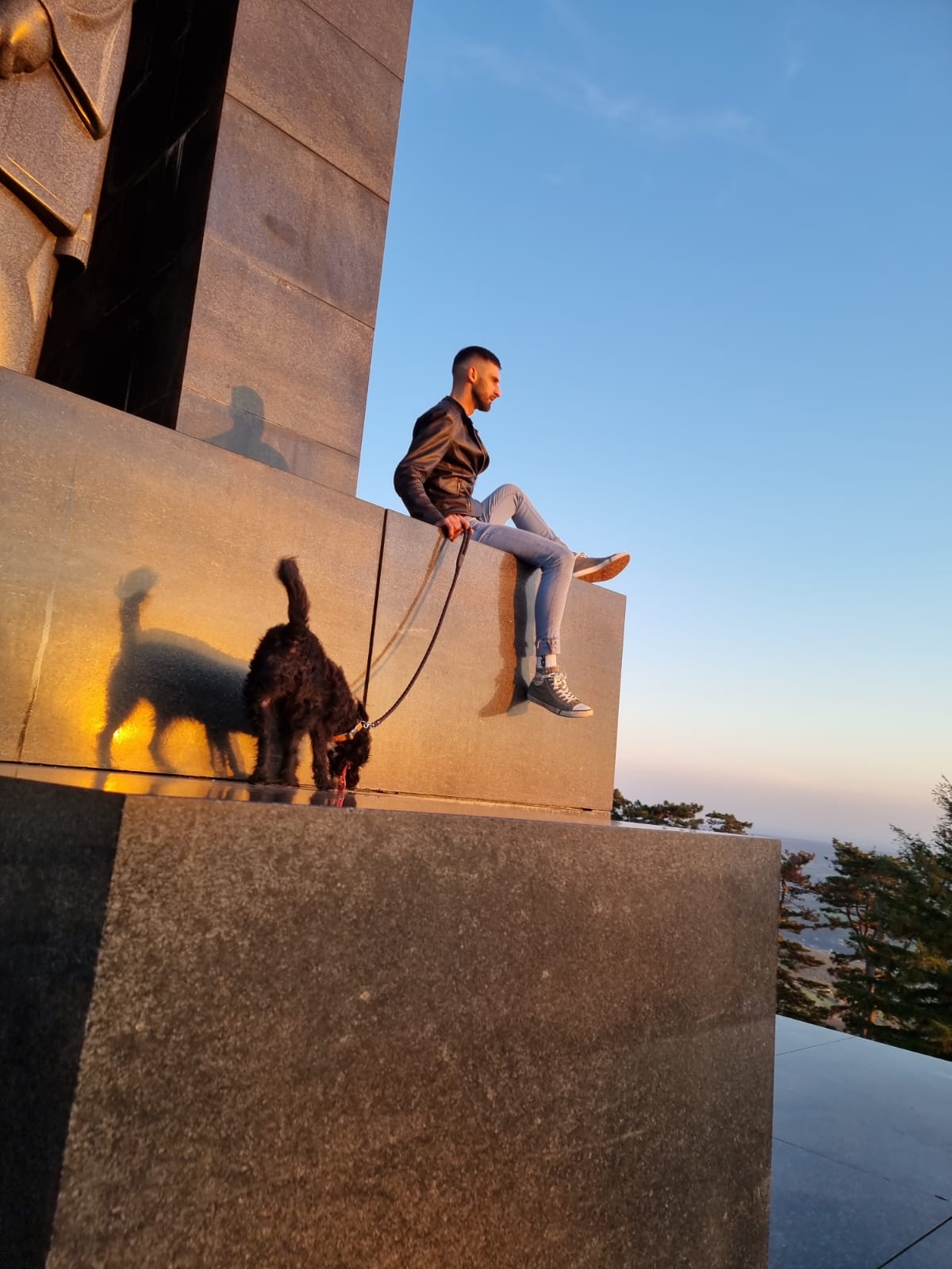 image-6