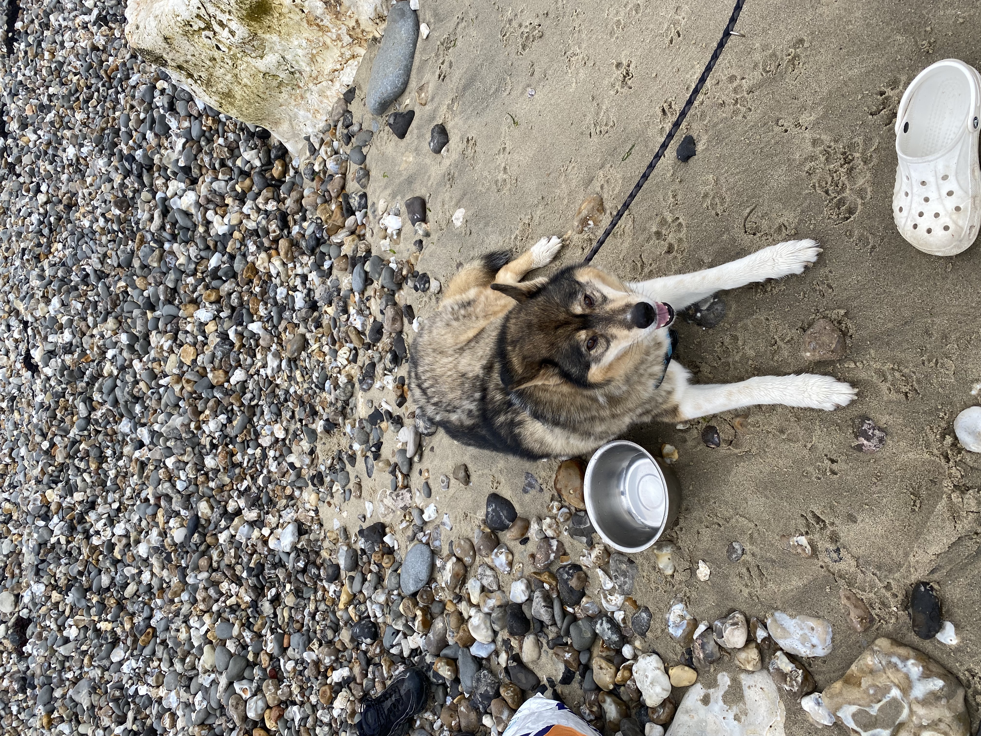 image-6