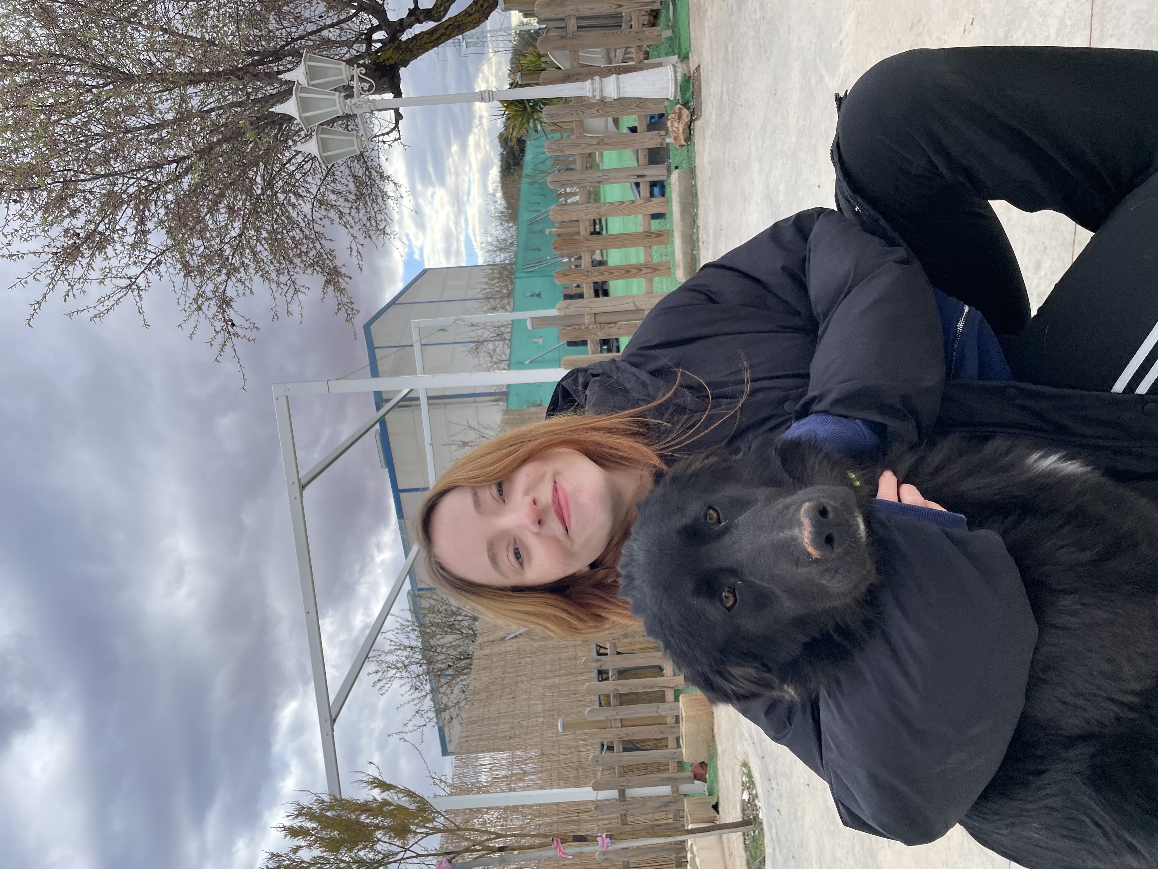 image-14