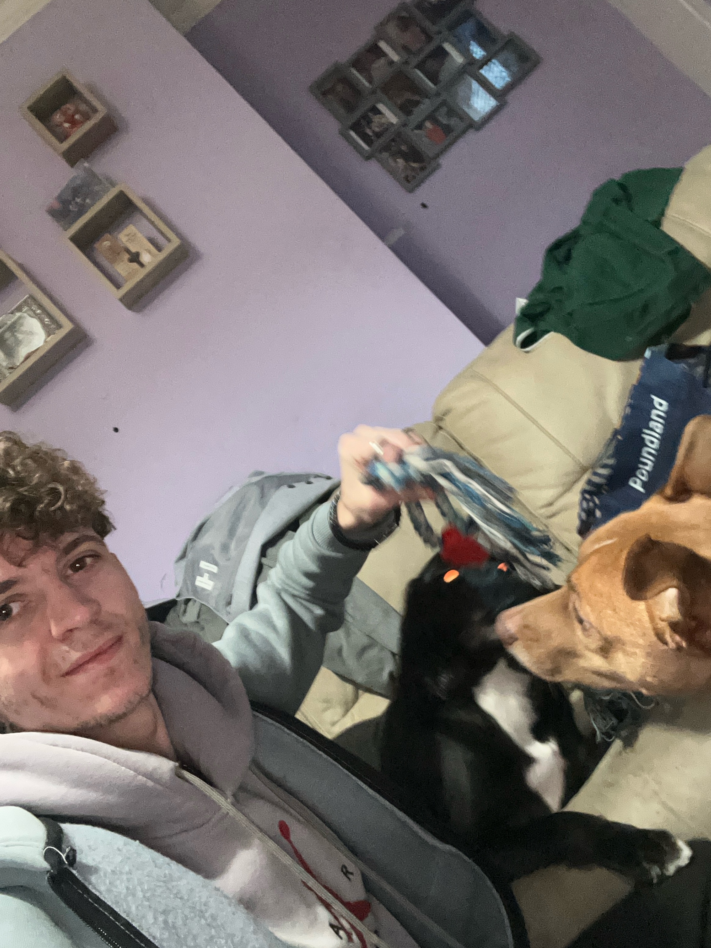 image-16