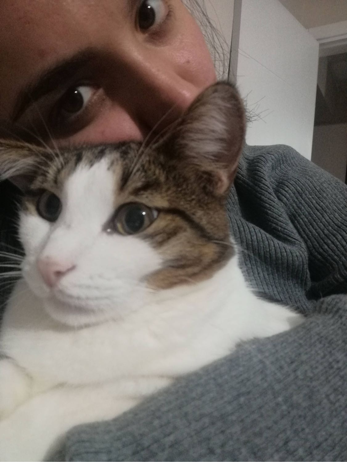 image-8