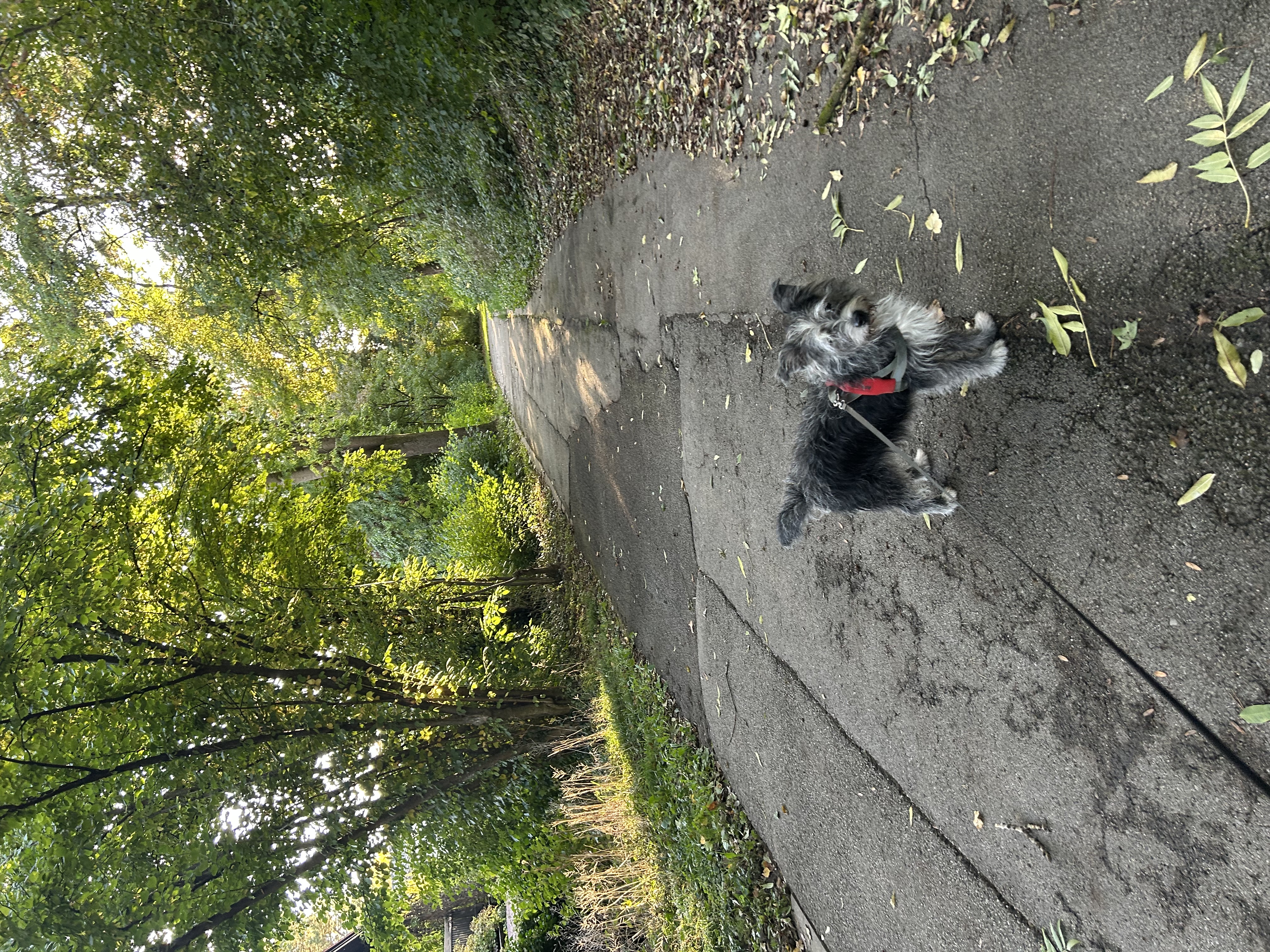 image-17