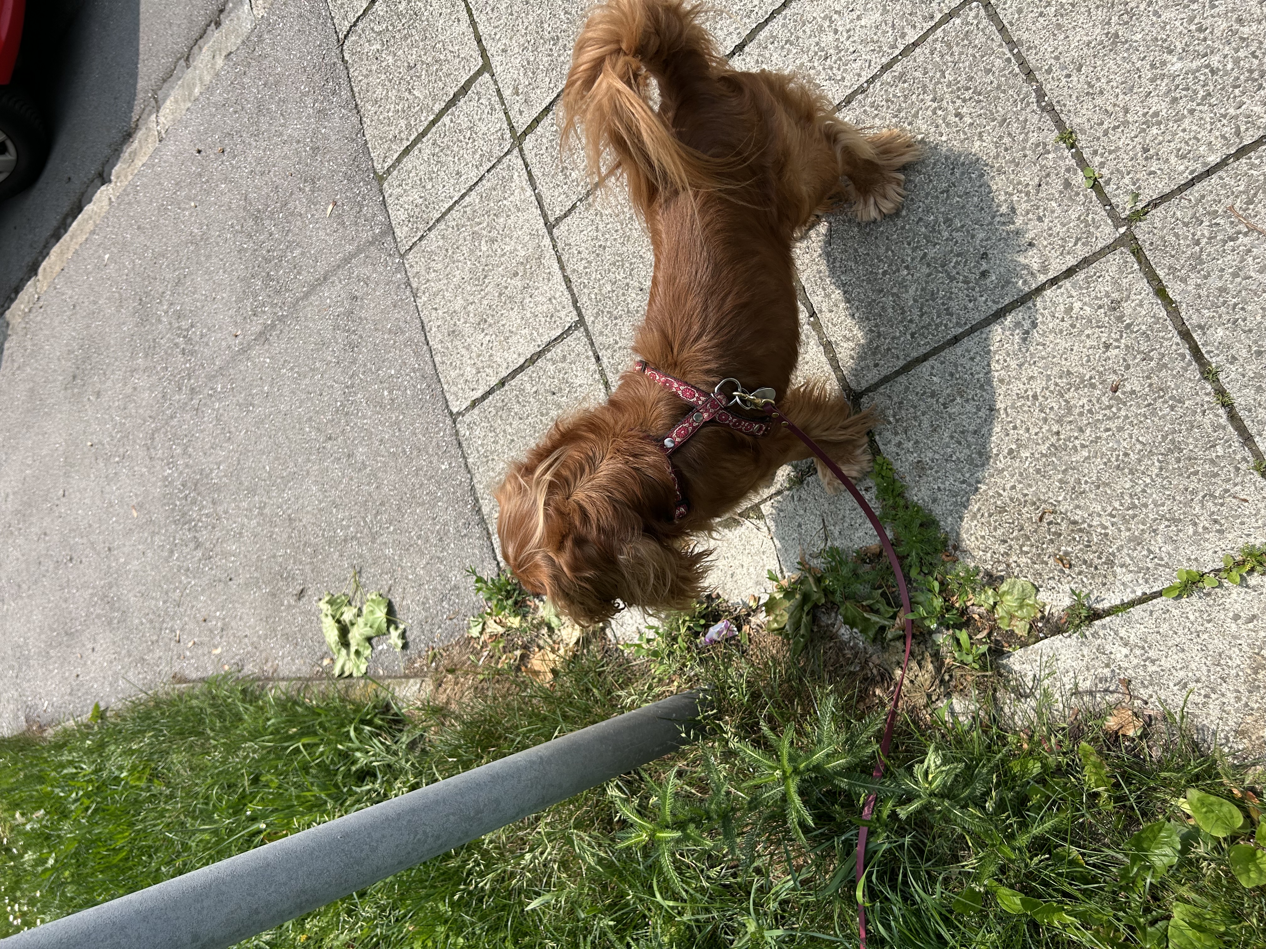 image-9
