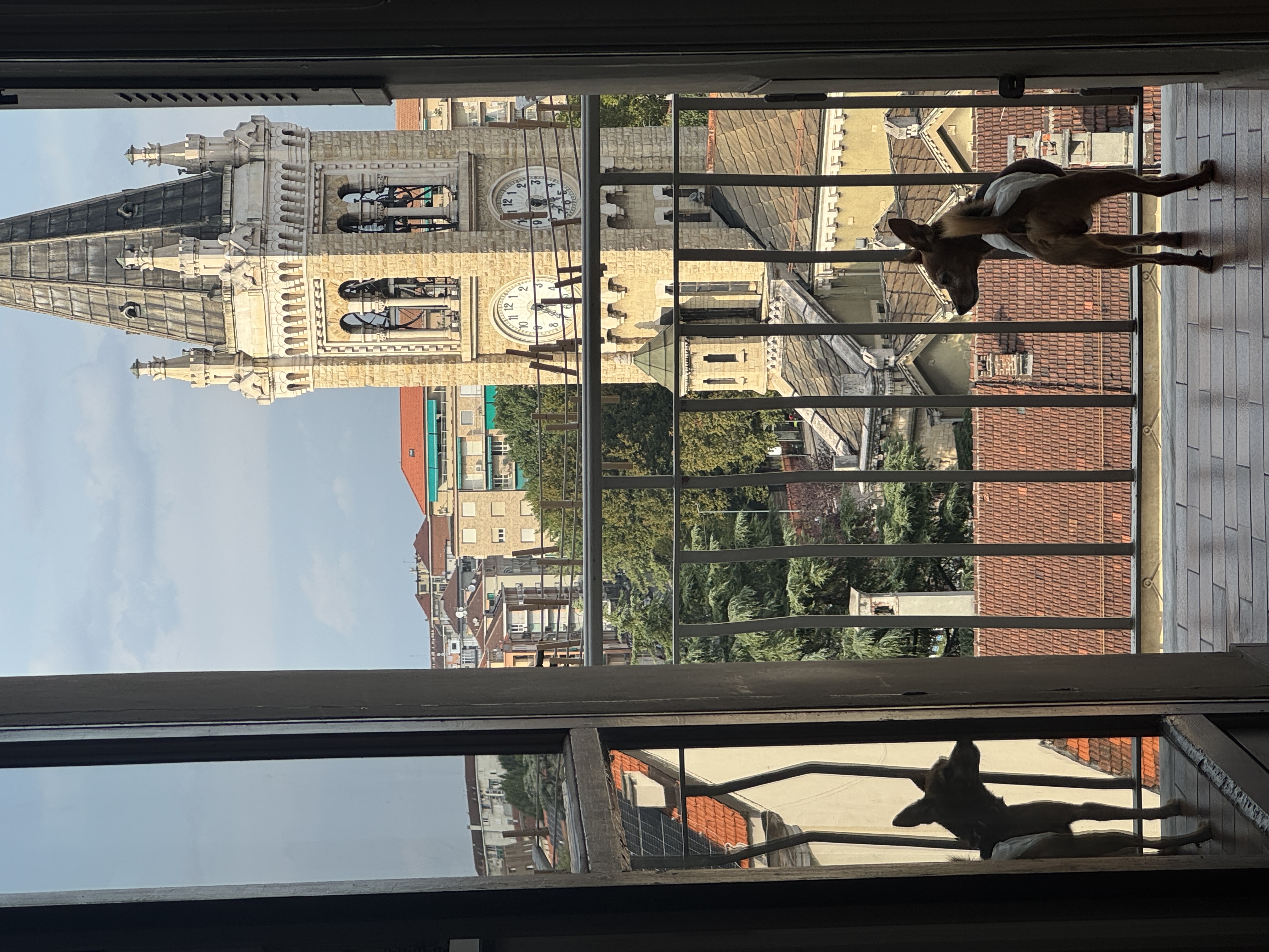 image-8