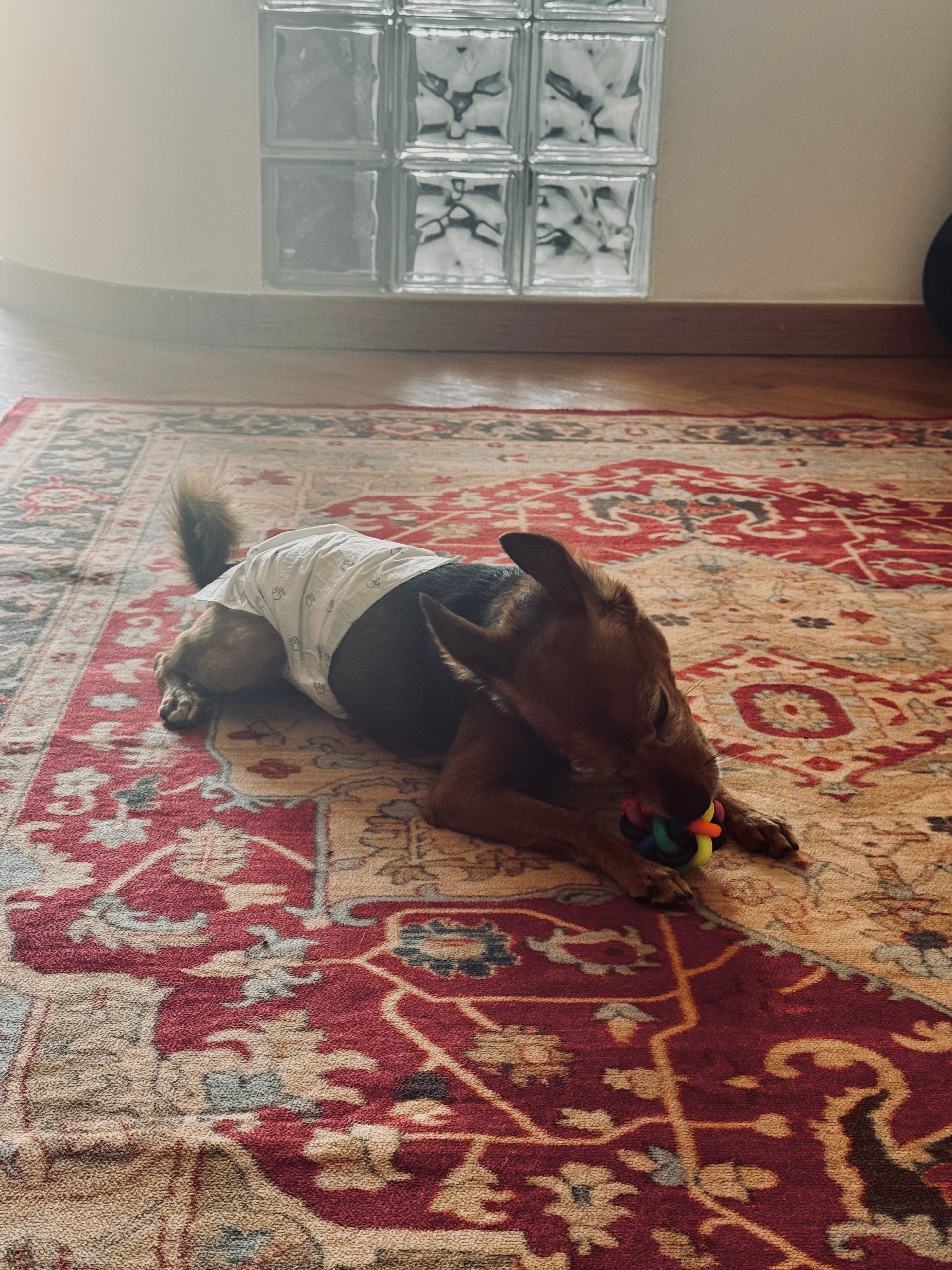 image-6