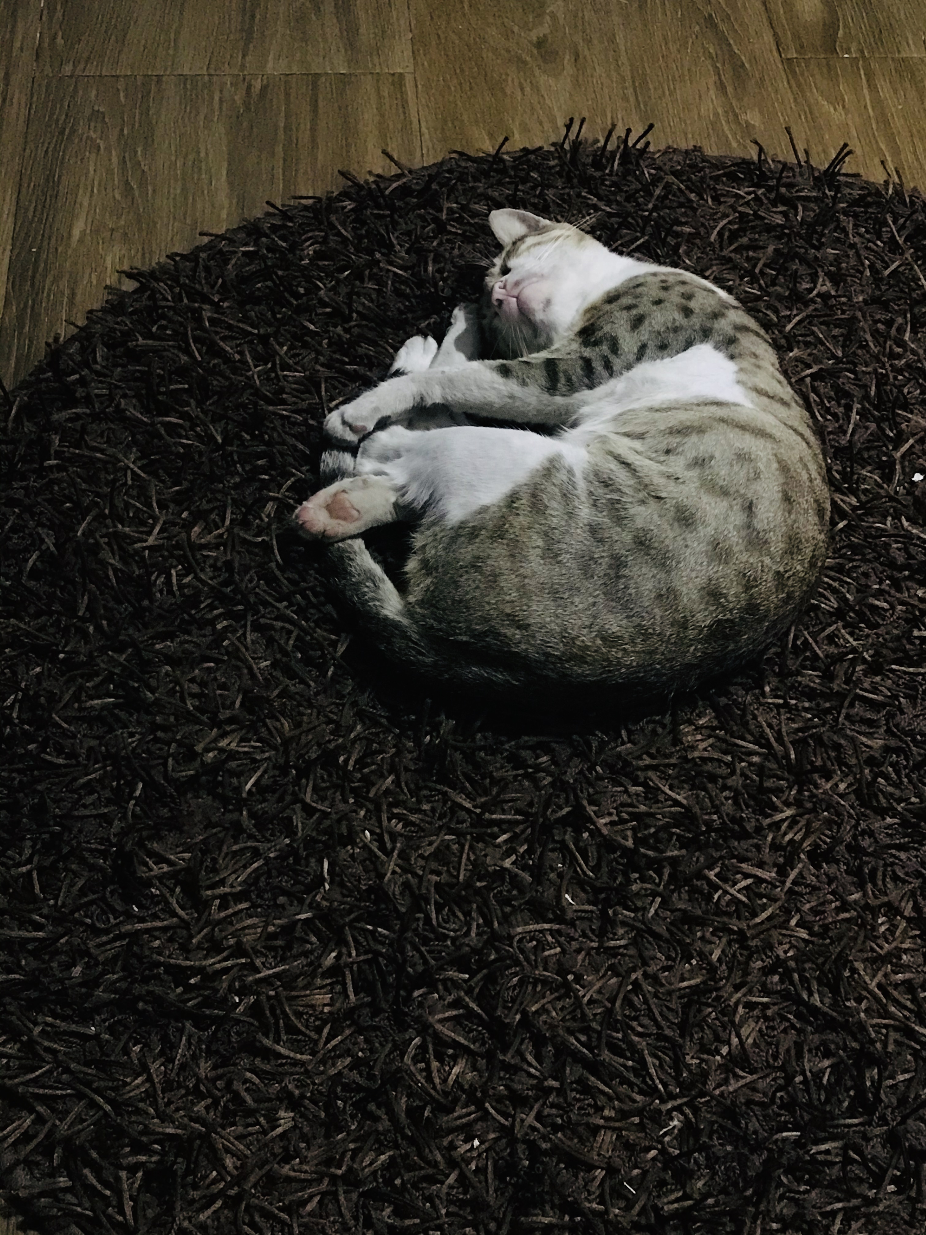 image-9