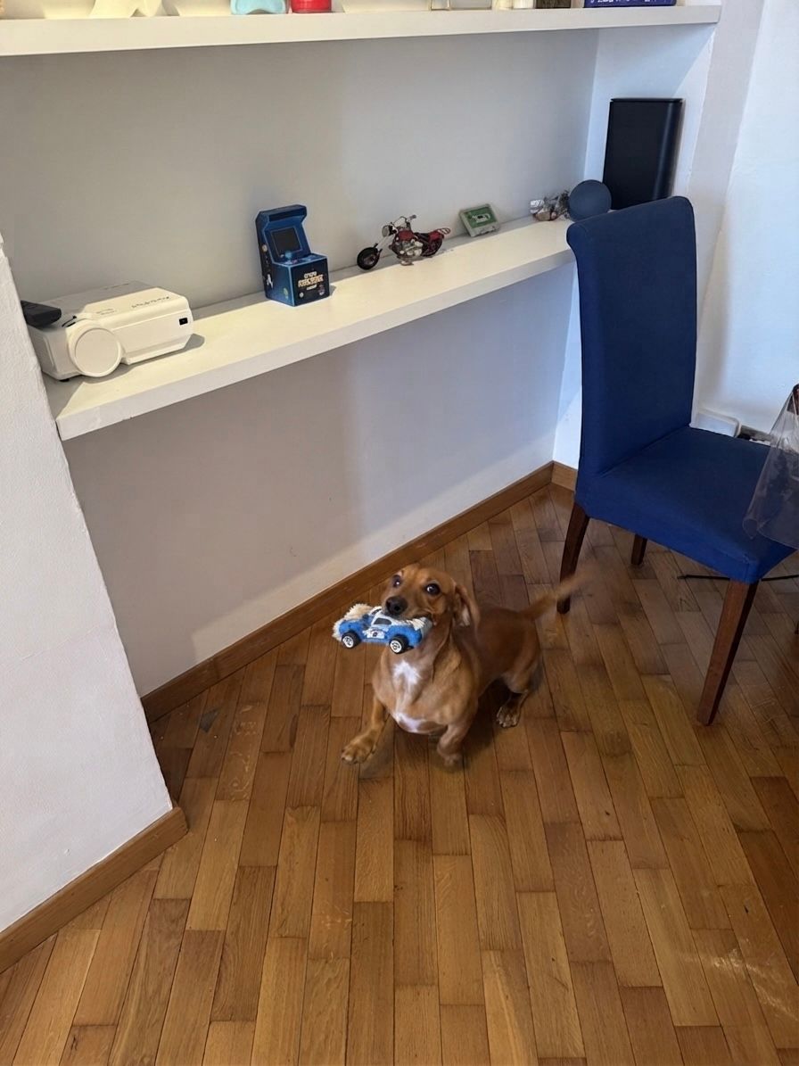 image-3