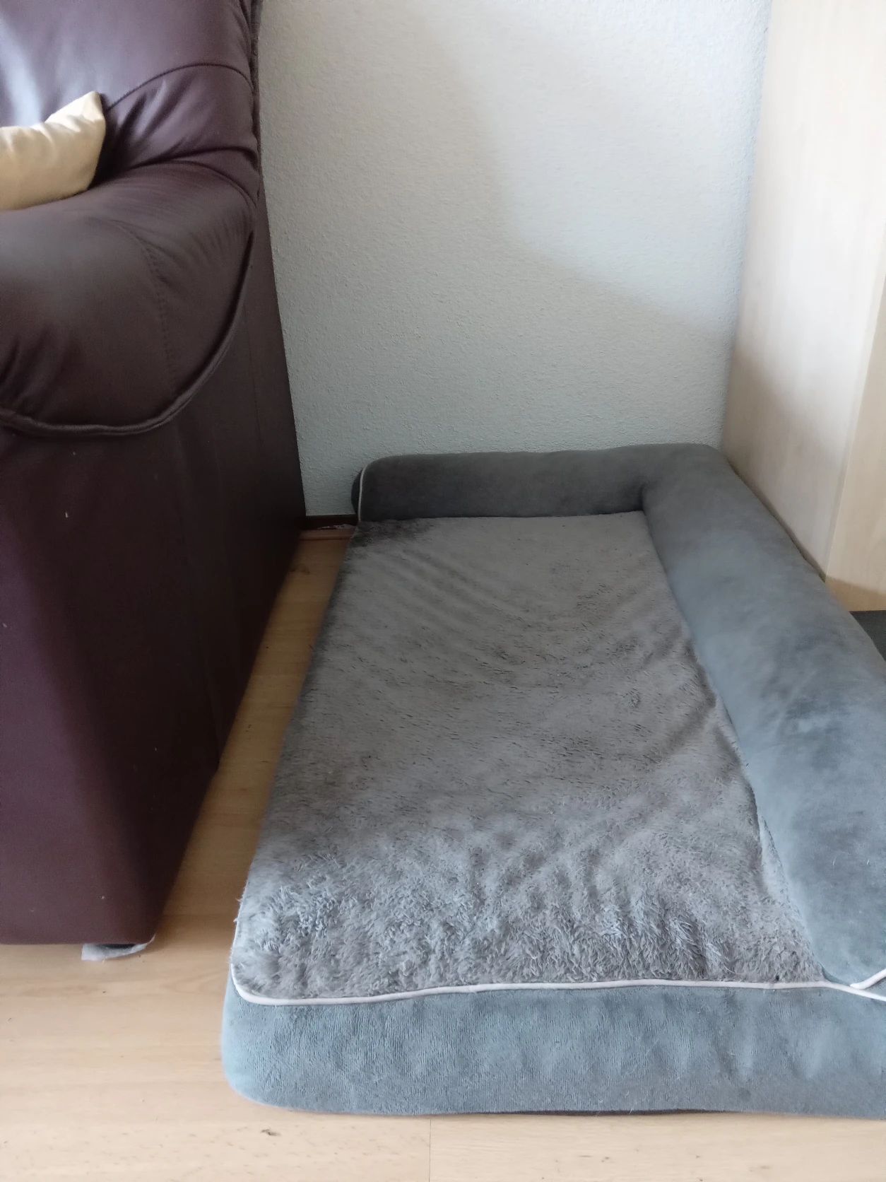image-19
